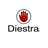 logo Diestra consulting CZ