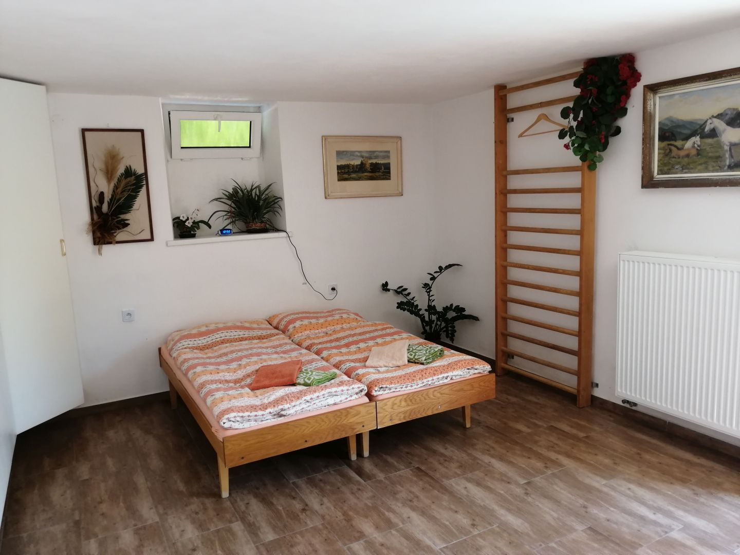 Lenka Havelková foto 4