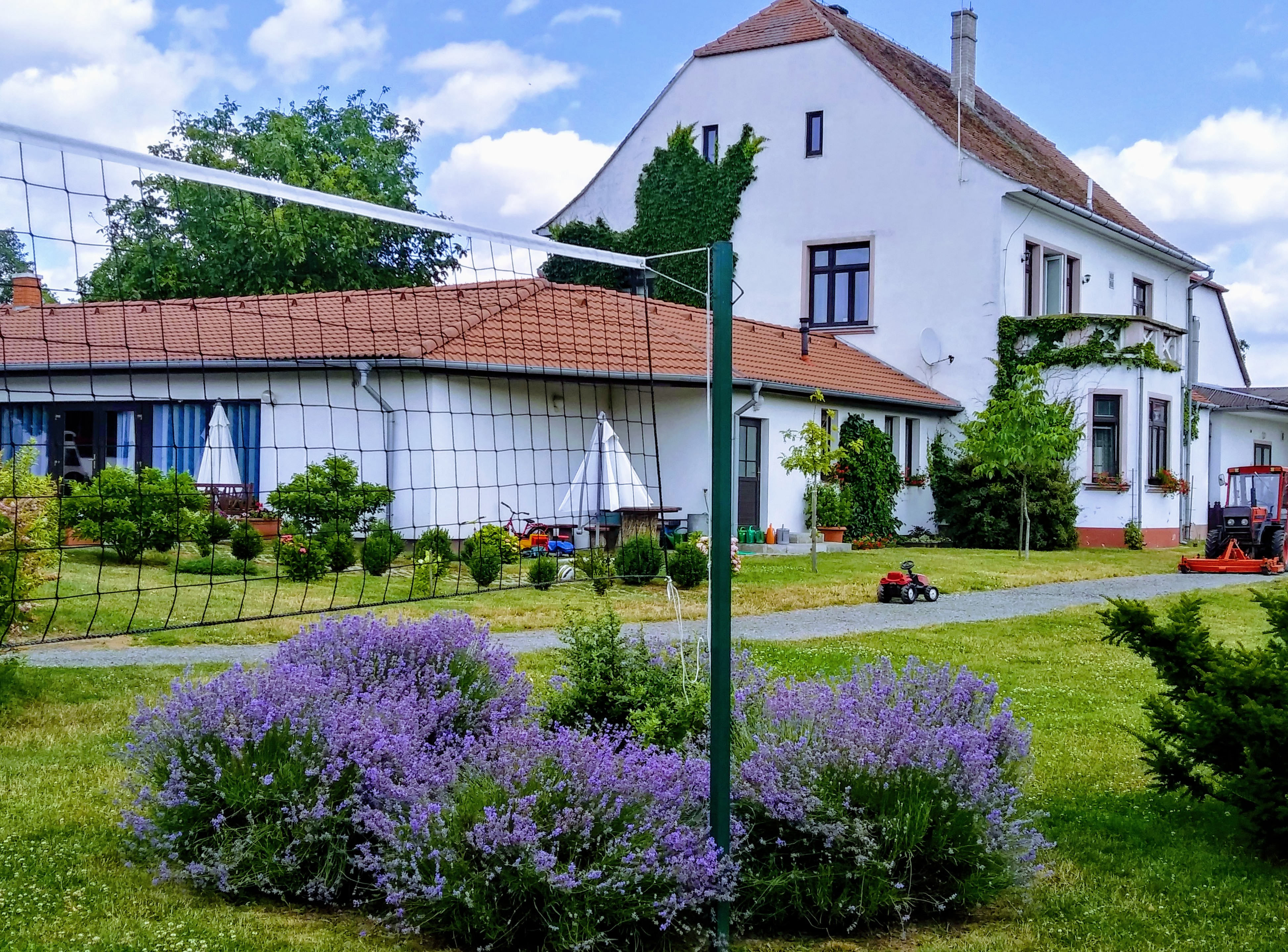 BIOFARMA DoRa foto 3