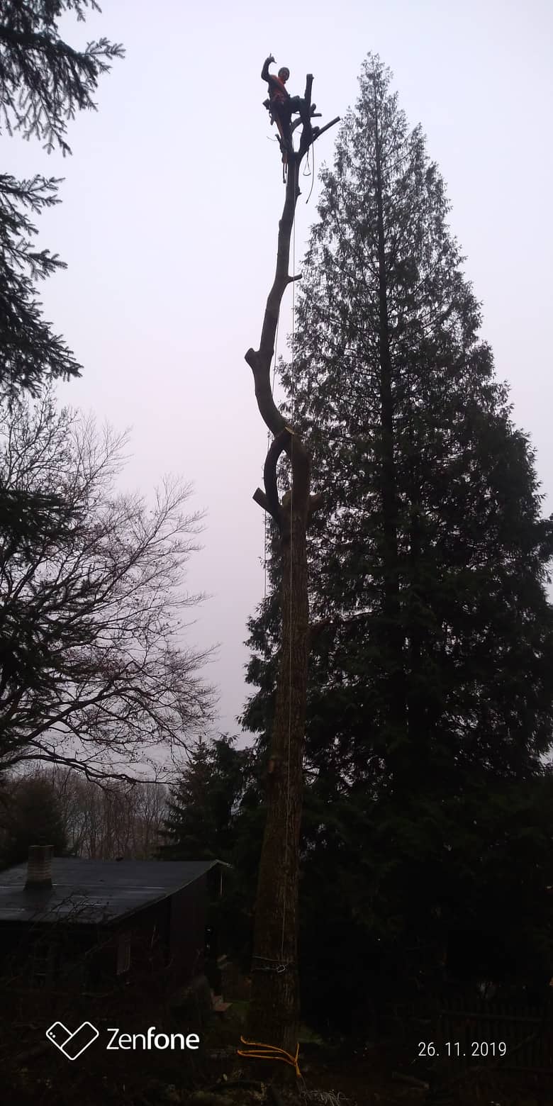 ArboPňaček foto 3