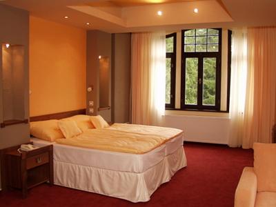 Spa & Wellness Hotel St. Moritz foto 4