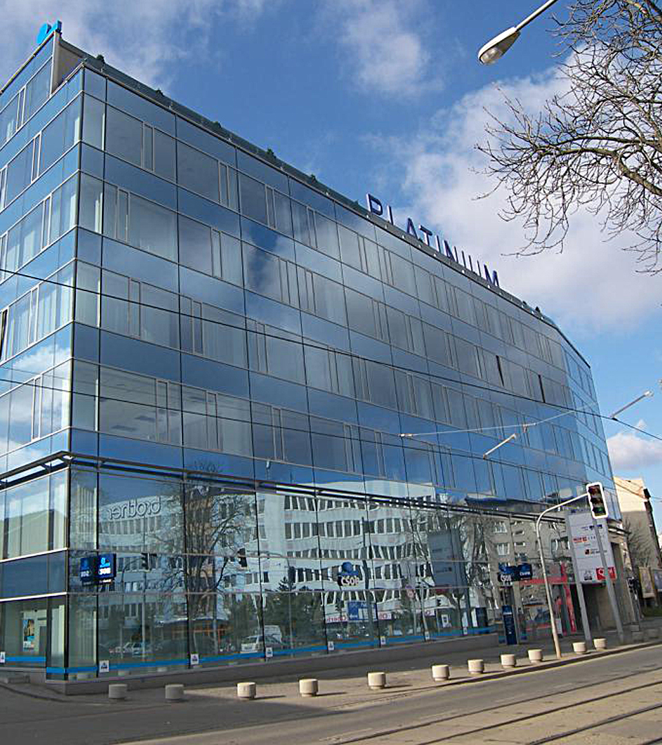 PLATINIUM foto 2