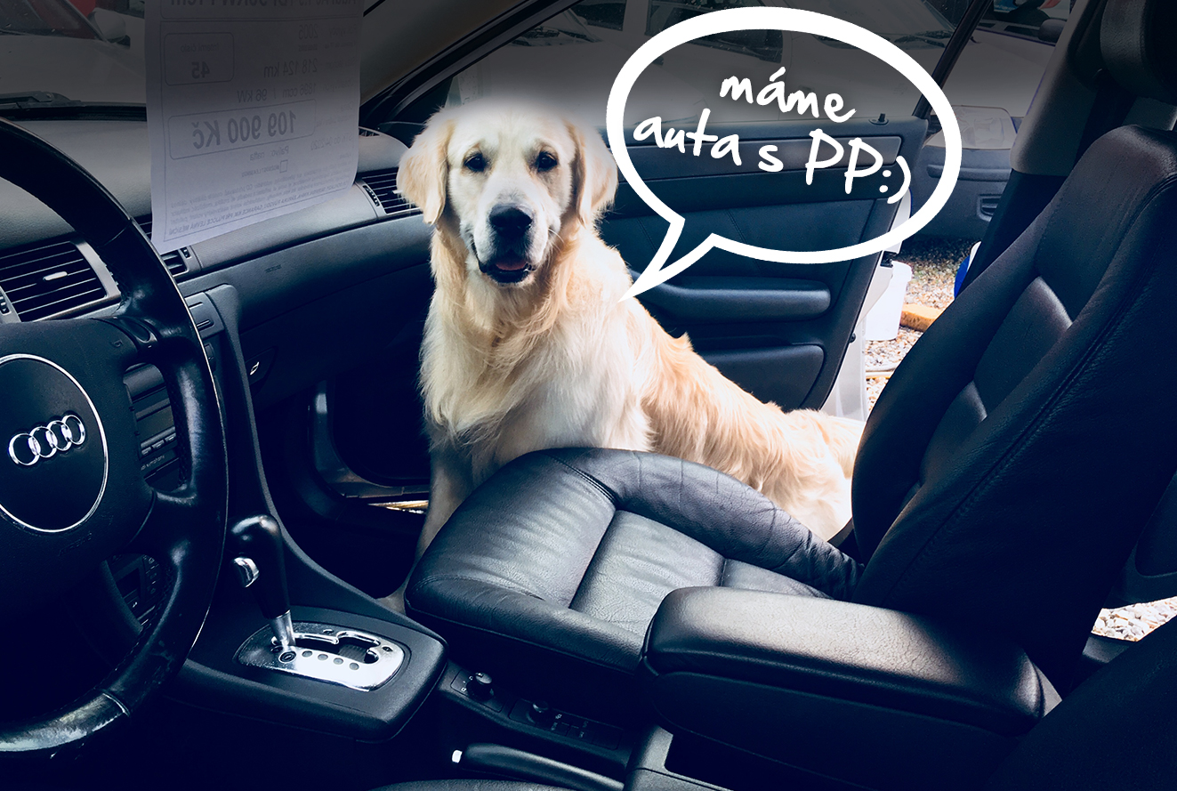 S AUTOPLAC foto 2