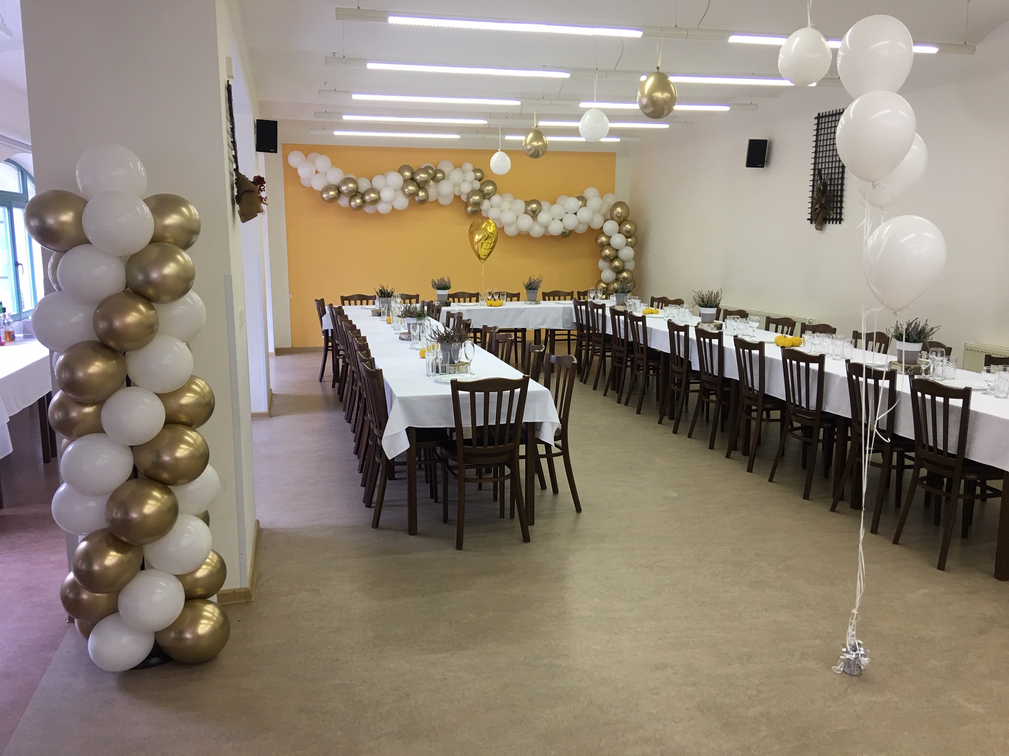 Tvojesuperparty.cz foto 3