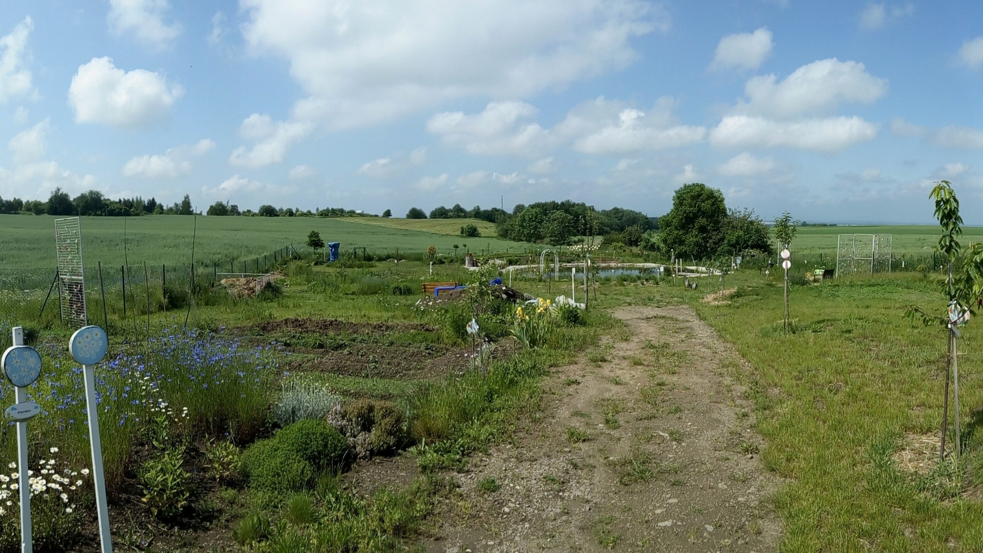 Naše zahrádka s Vílí stezkou foto 4