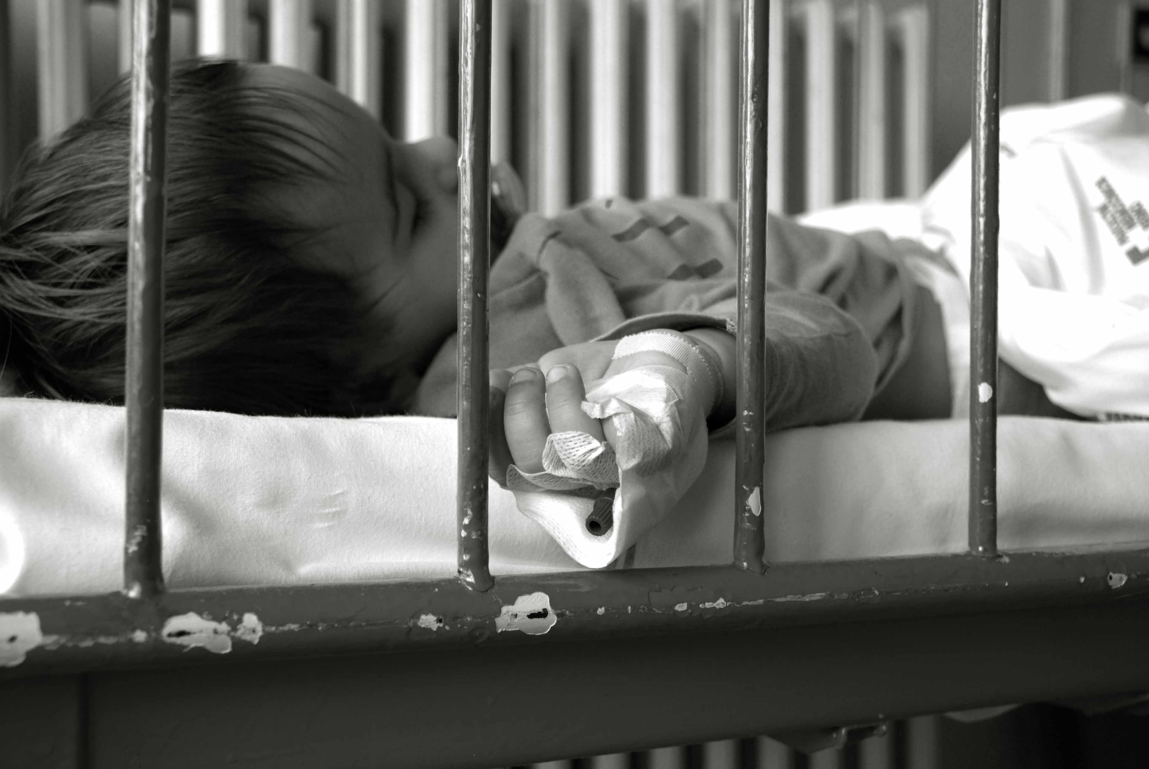 Nadační fond Modrý hroch