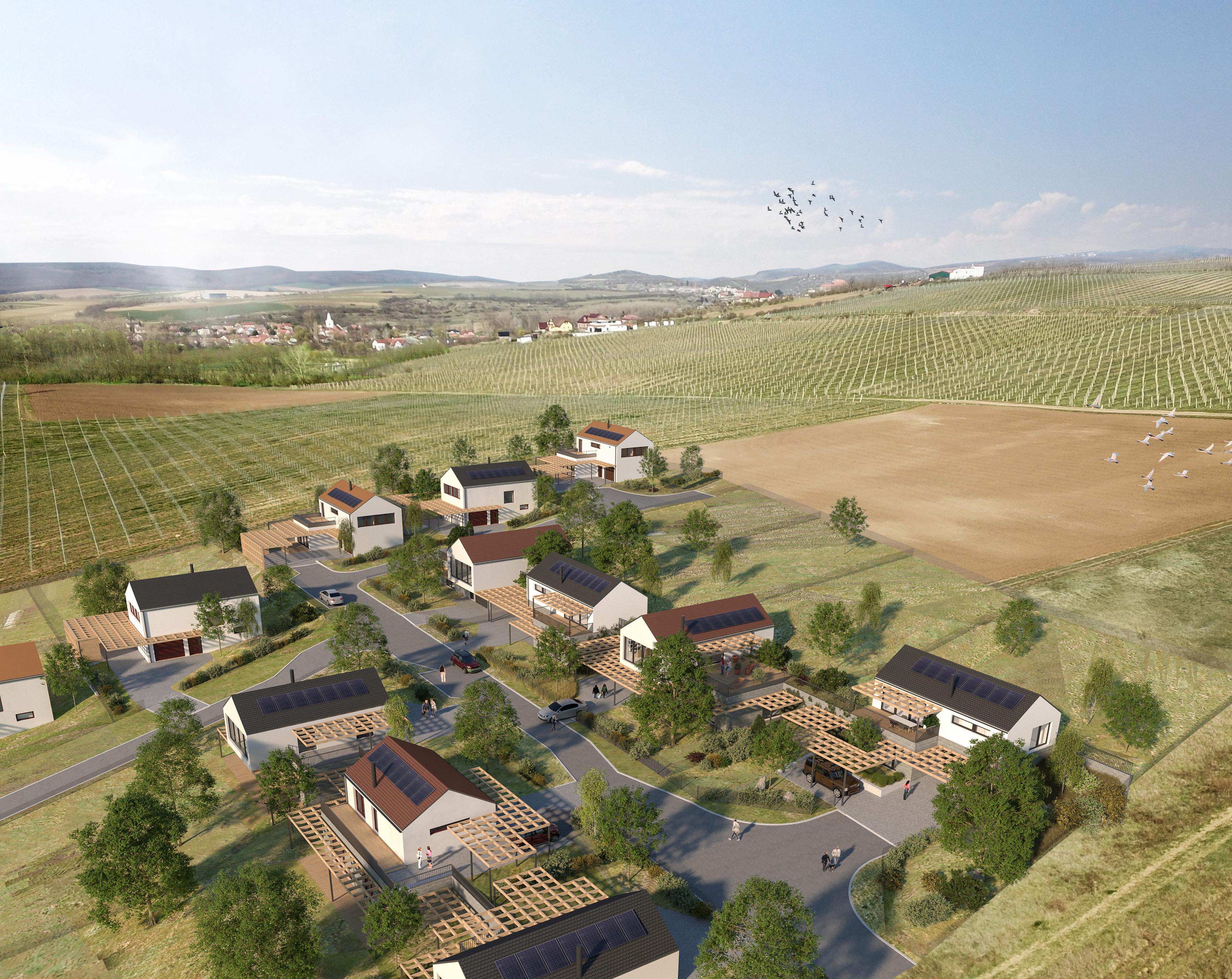 DOMY NA VINICI foto 3