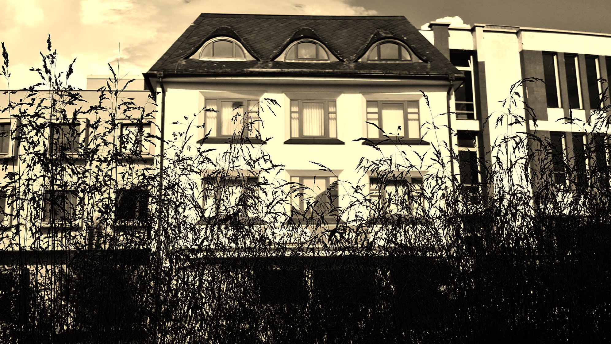 businesswings s.r.o. foto 4