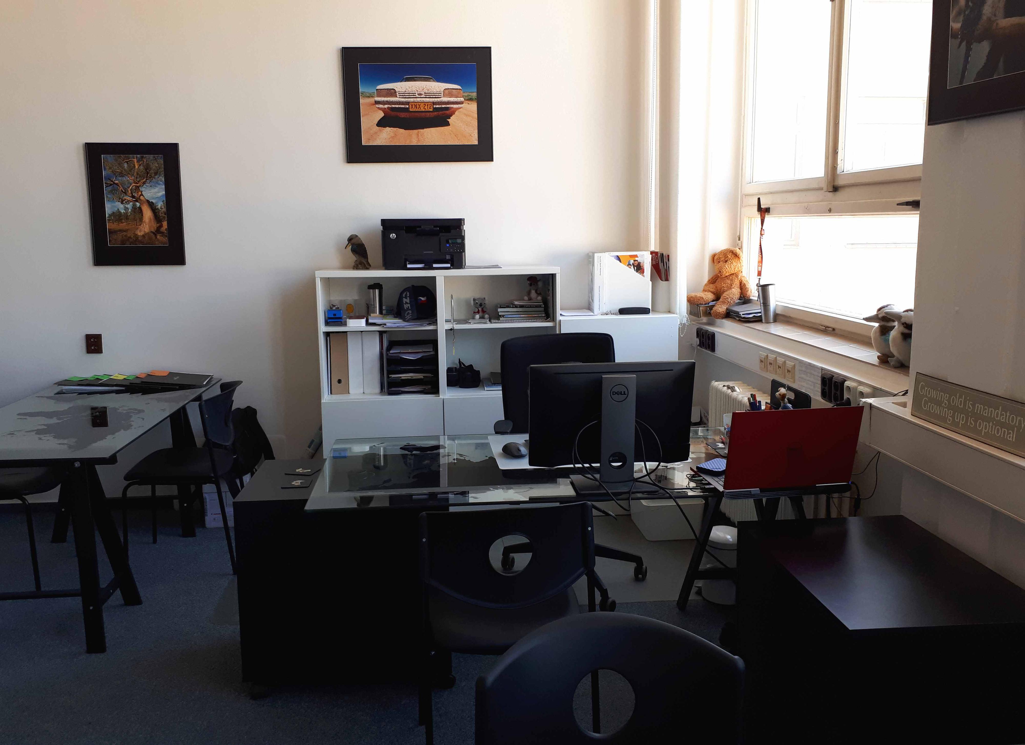 Kukabara Austrálie foto 4