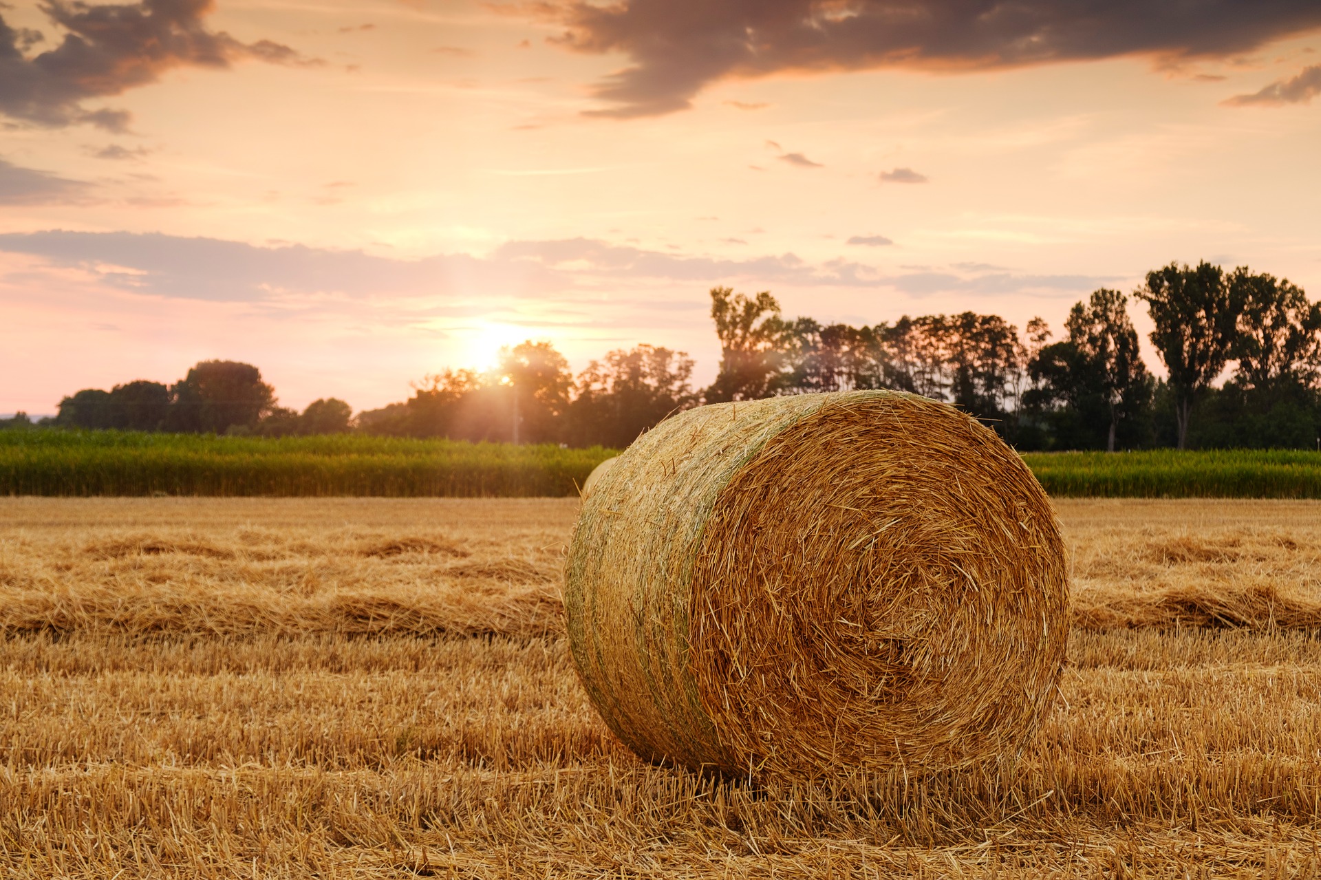AGRO&PERSONAL foto 4