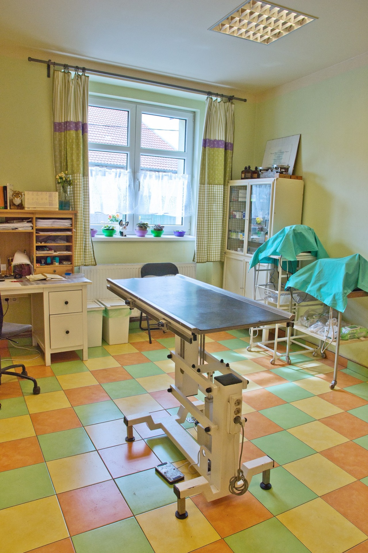 MVDr. Eva Moutelíková foto 2