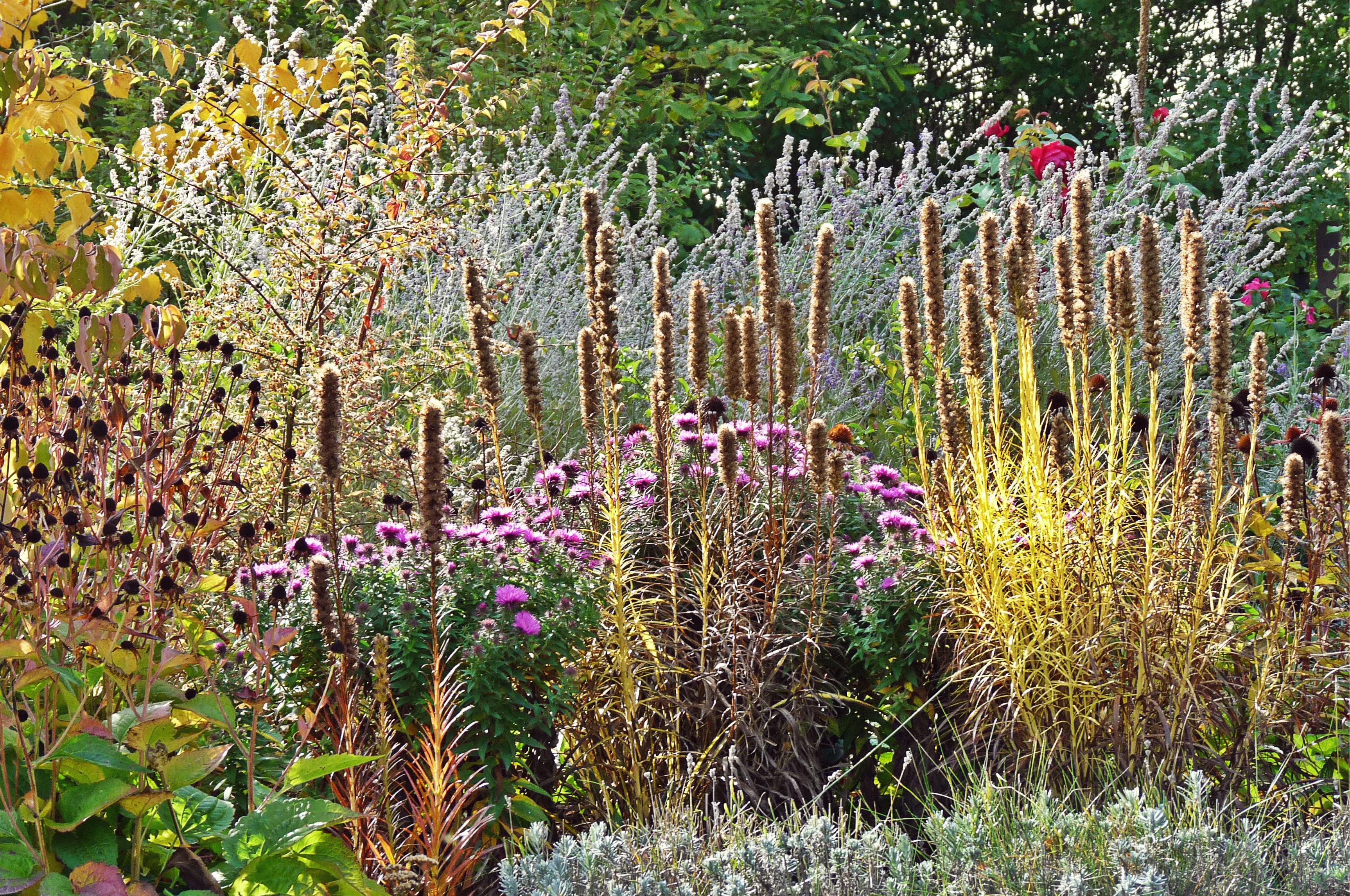 Zahrady Dvořáková