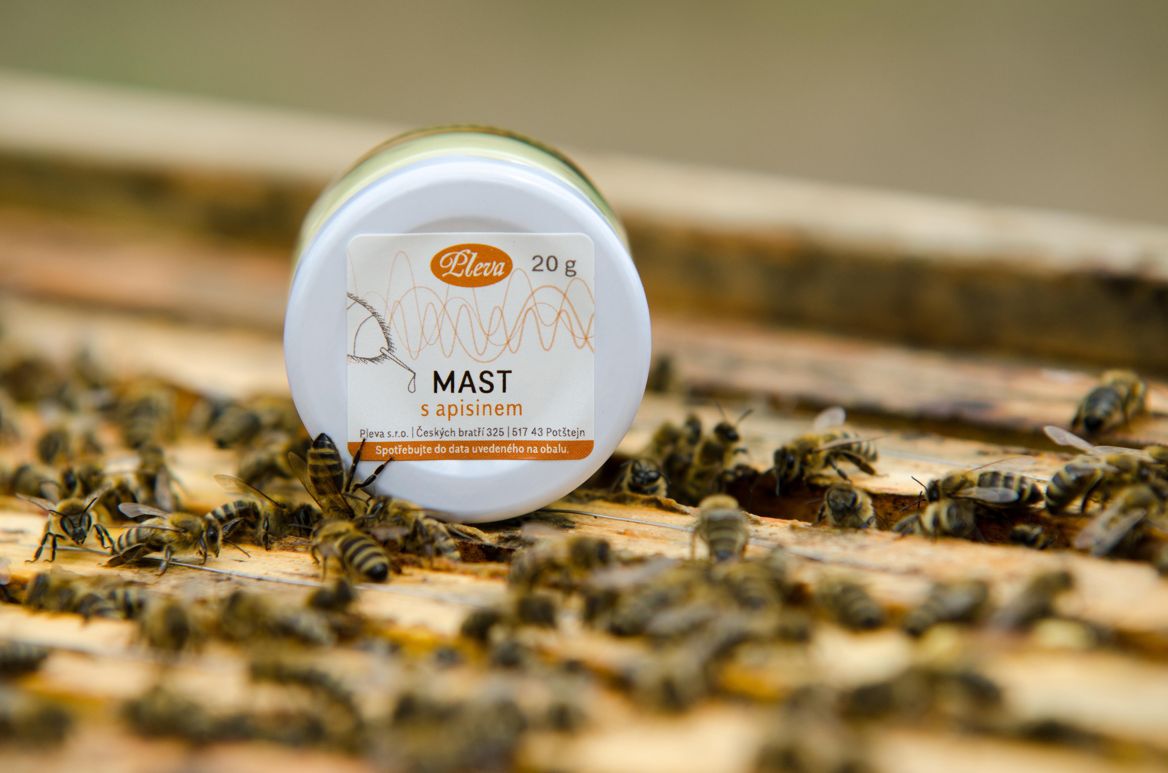 Rodinná firma Pleva foto 4