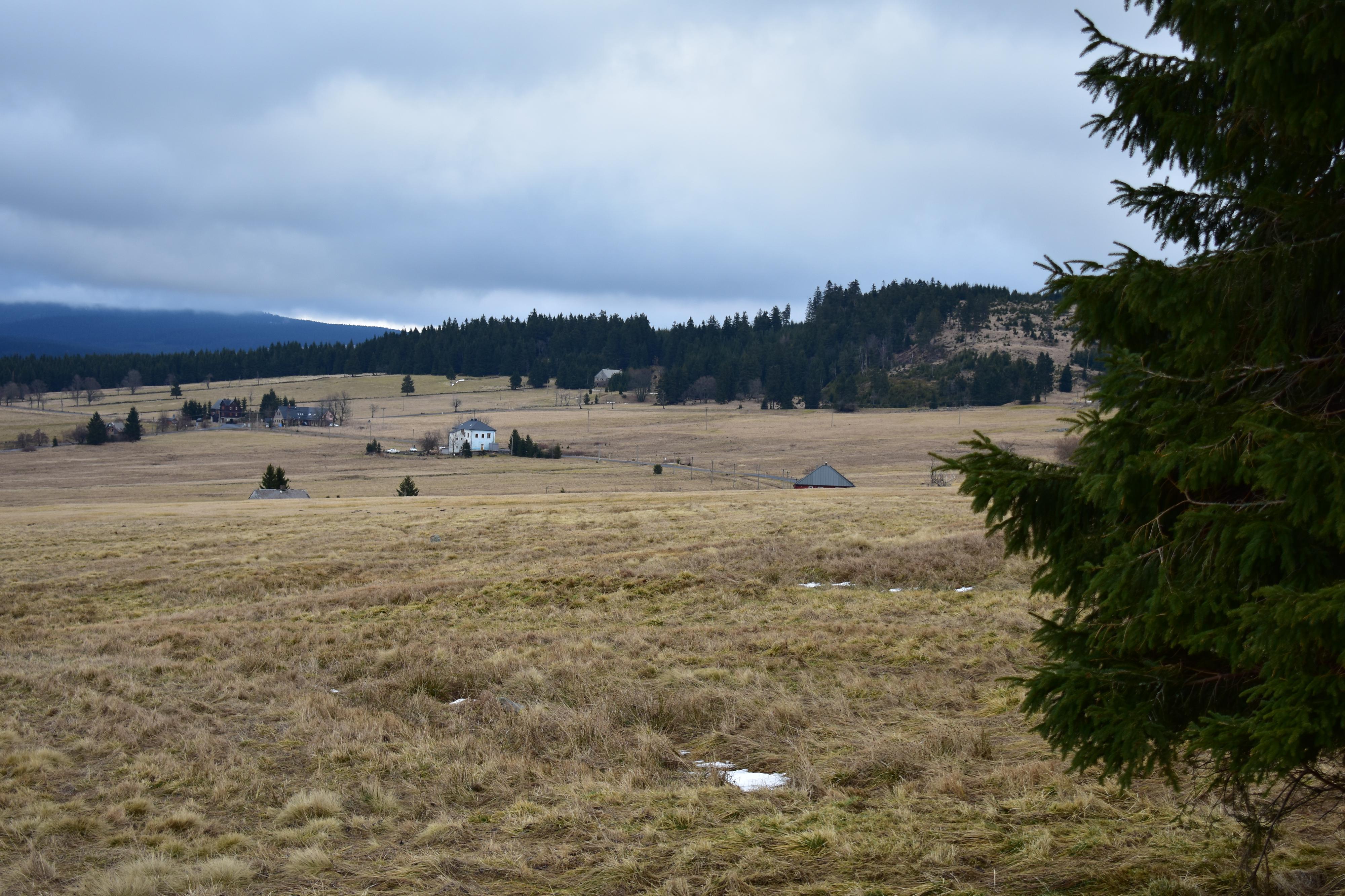 Pivovar Ryžovna, s.r.o. foto 3