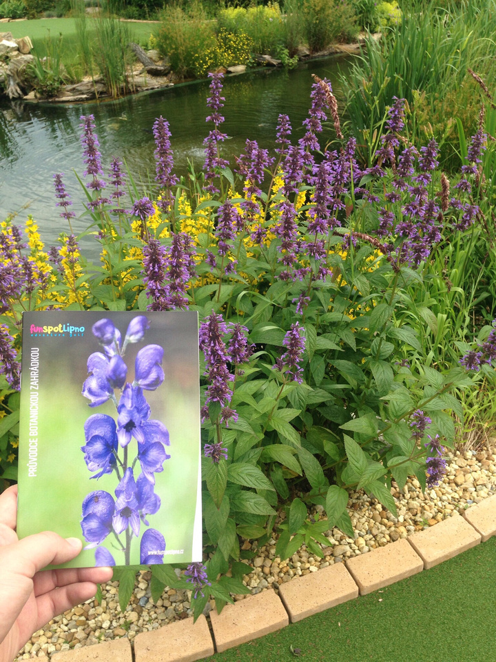 Fun Spot Lipno - botanická zahrádka foto 2