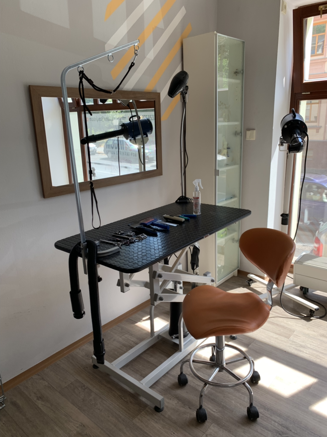 Módní Pes salon foto 6