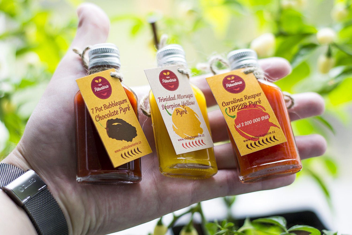 ChilliPikanterie.cz foto 3