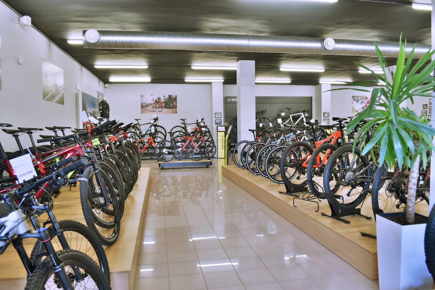 Specialized Brno foto 4