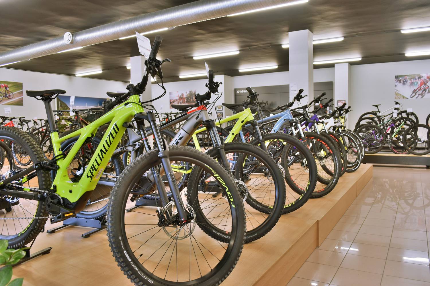 Specialized Brno foto 2