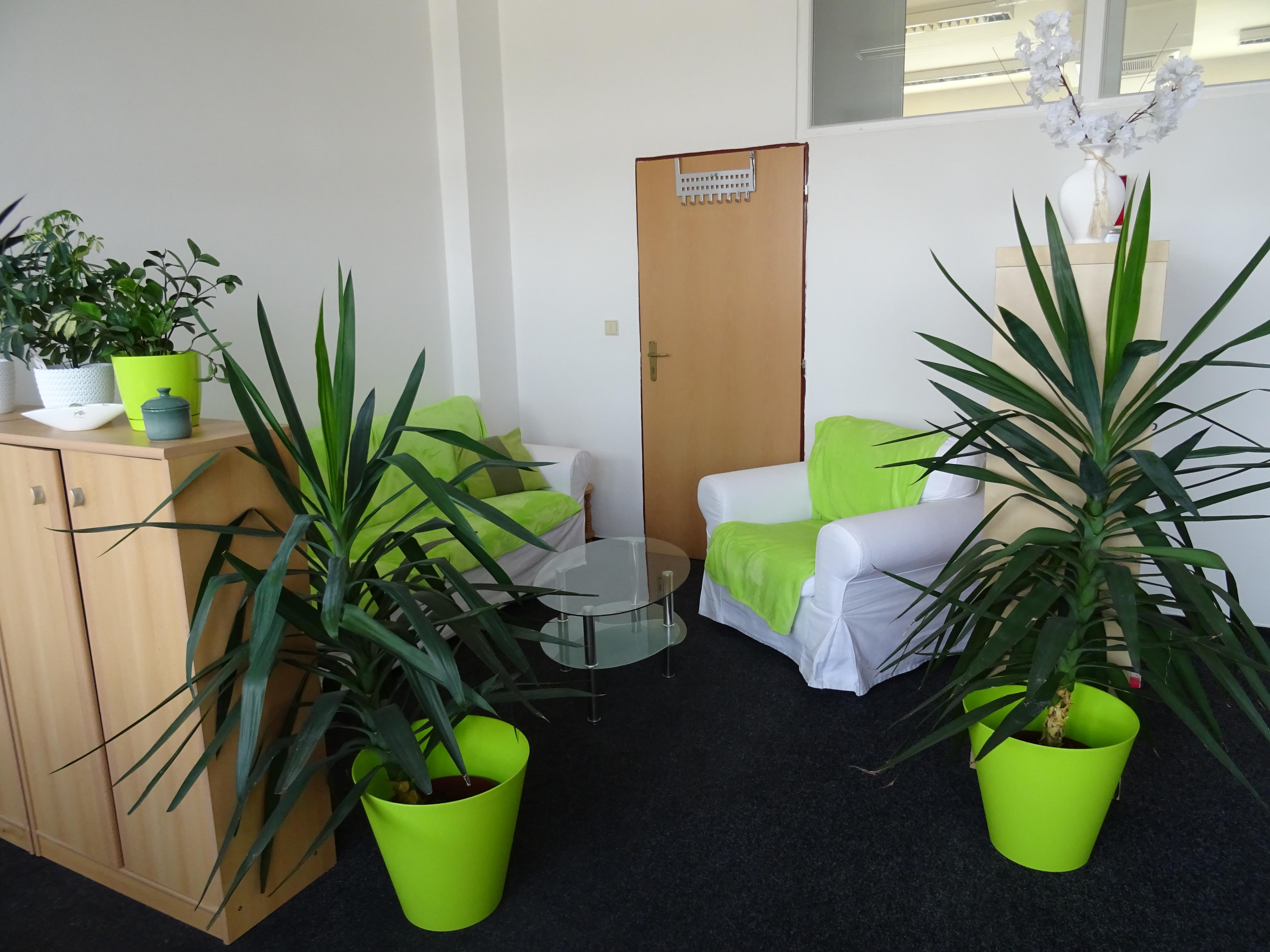 Jana Krebsová REALITY PRORADOST foto 4