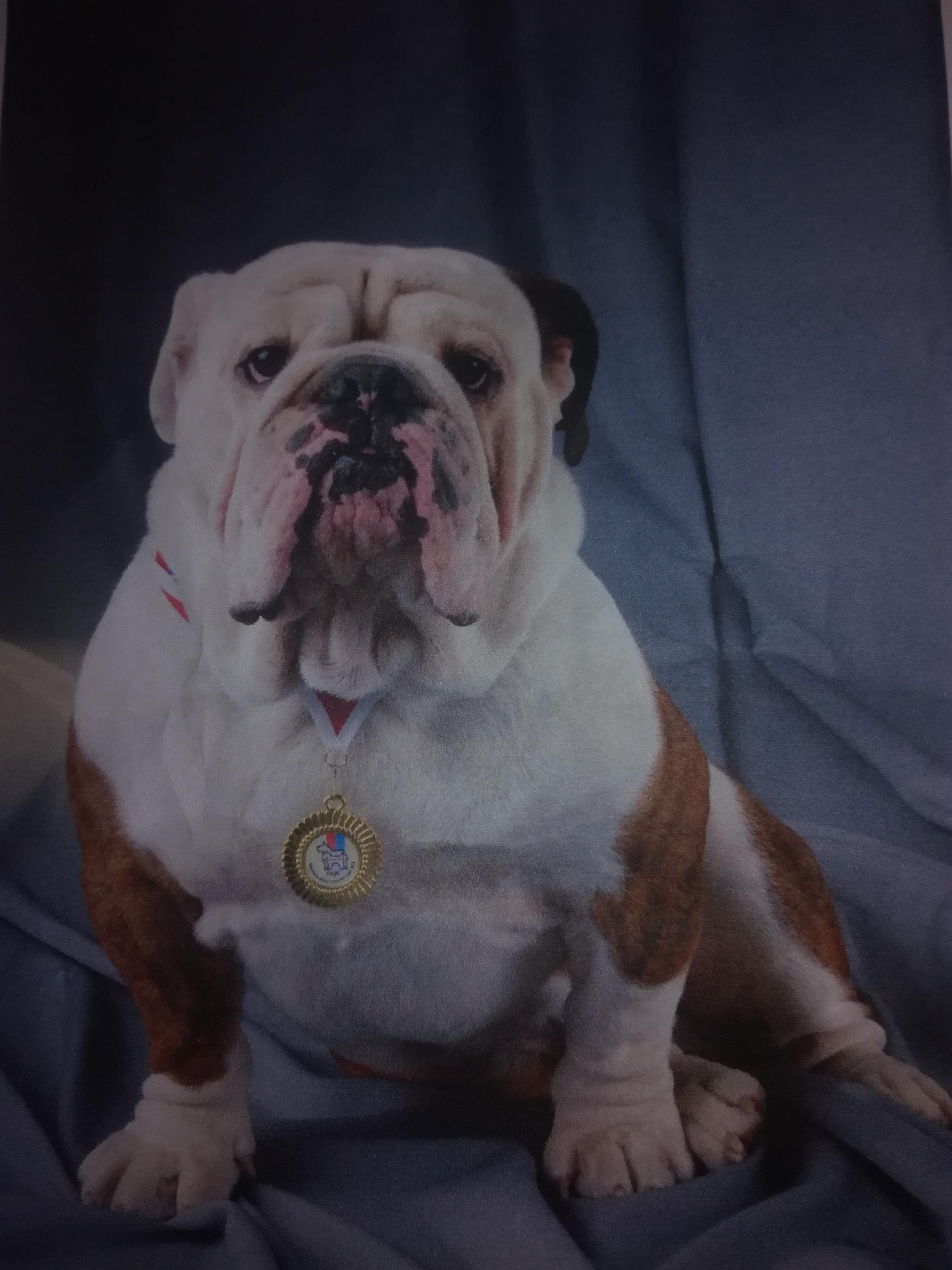 Chovatelská stanice z Jasmínového nebe foto 1