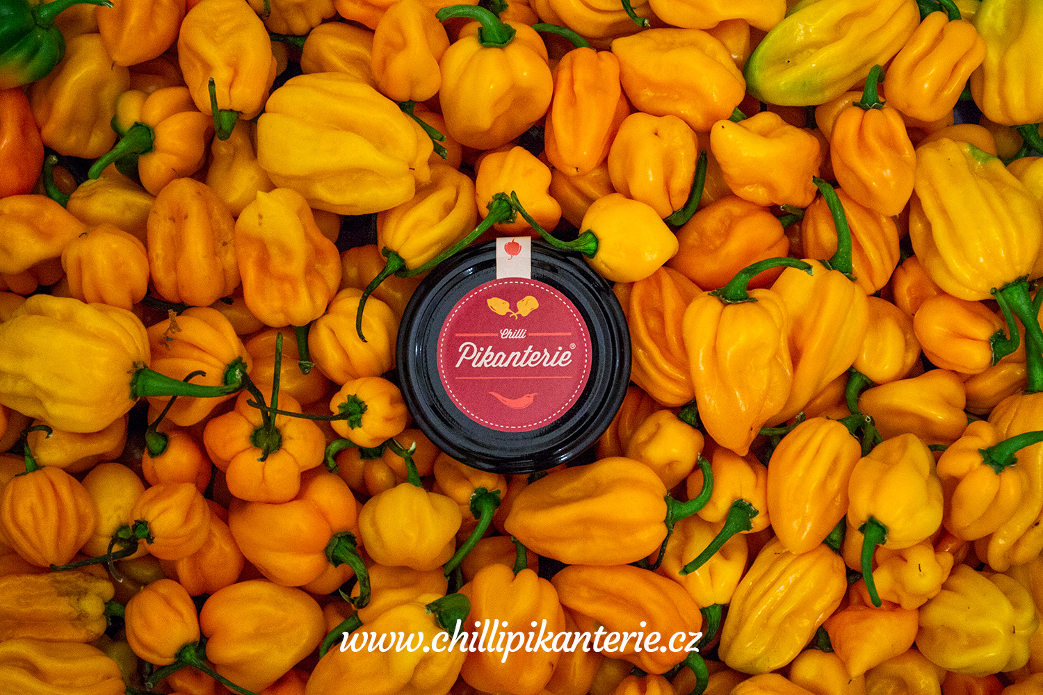 ChilliPikanterie.cz foto 4