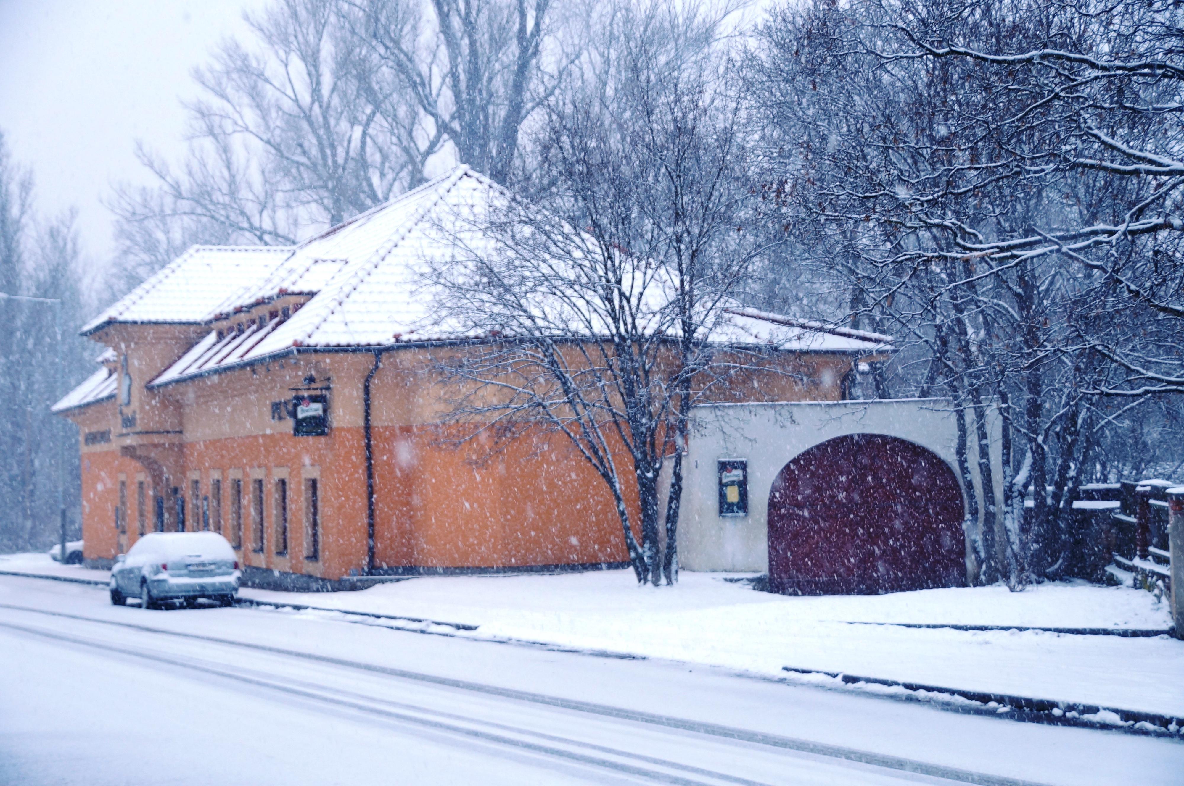 Restaurace U labutě foto 2