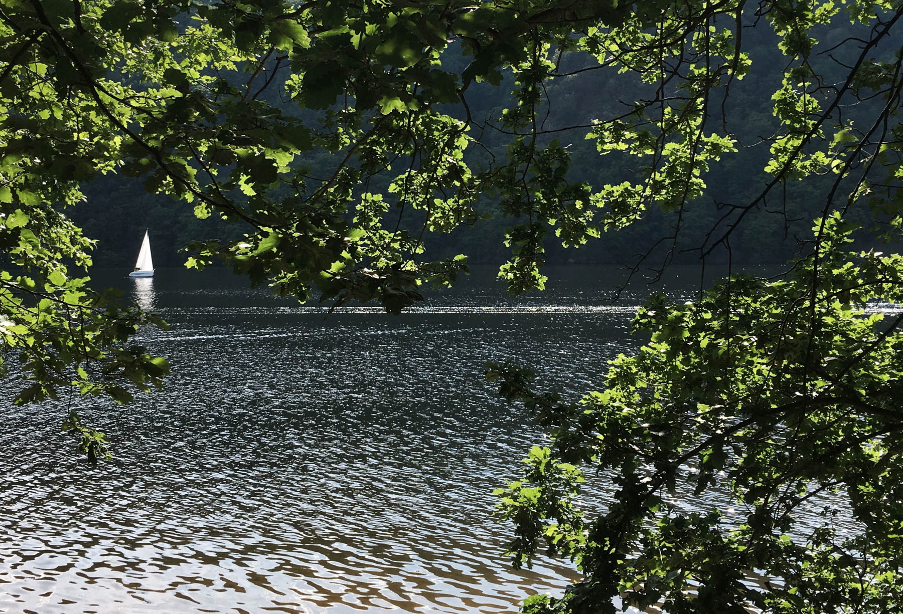Lesní tábořiště Nebřich foto 4