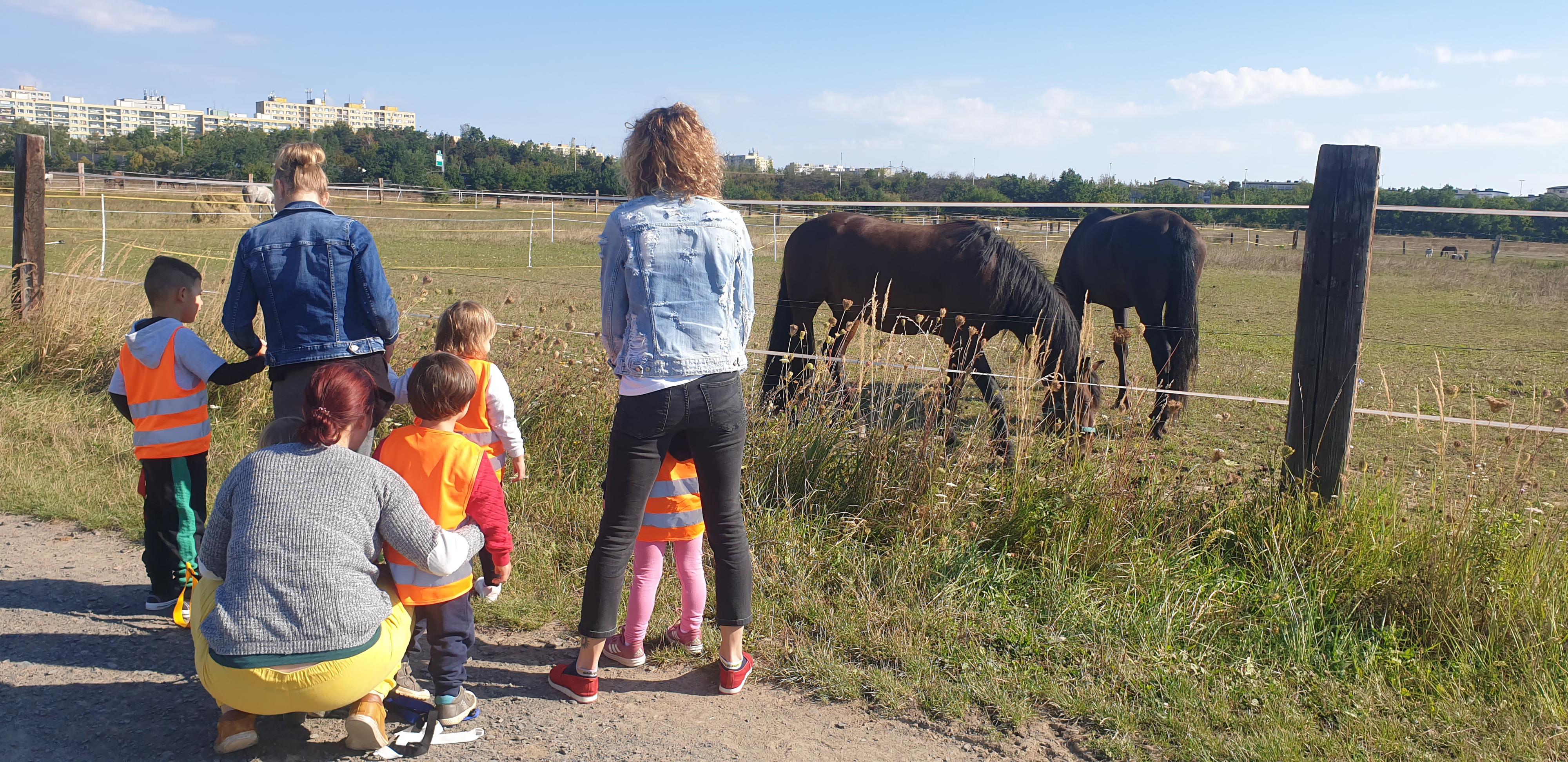 Mateřská škola KOŠÍK foto 2