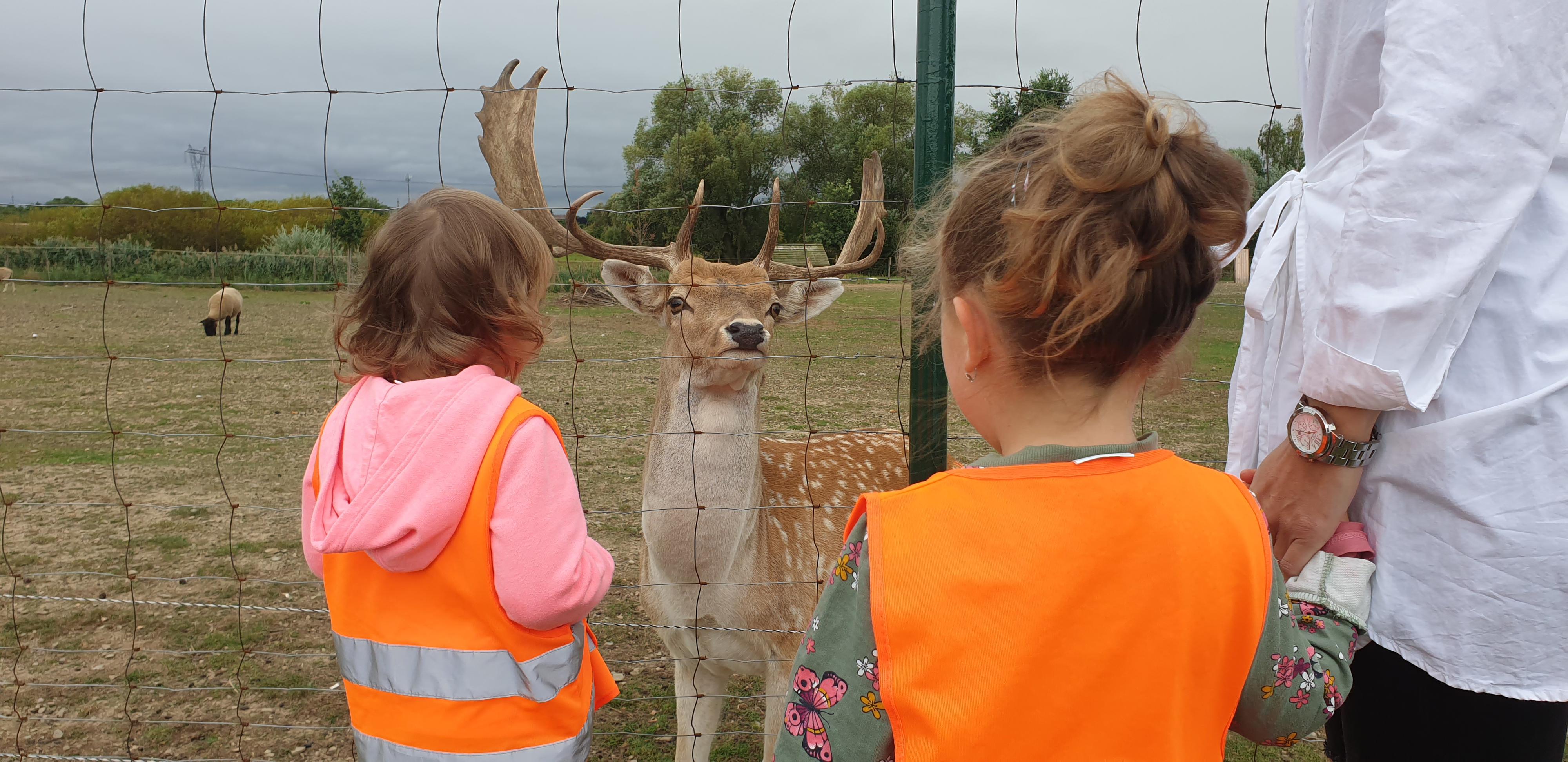 Mateřská škola KOŠÍK foto 3