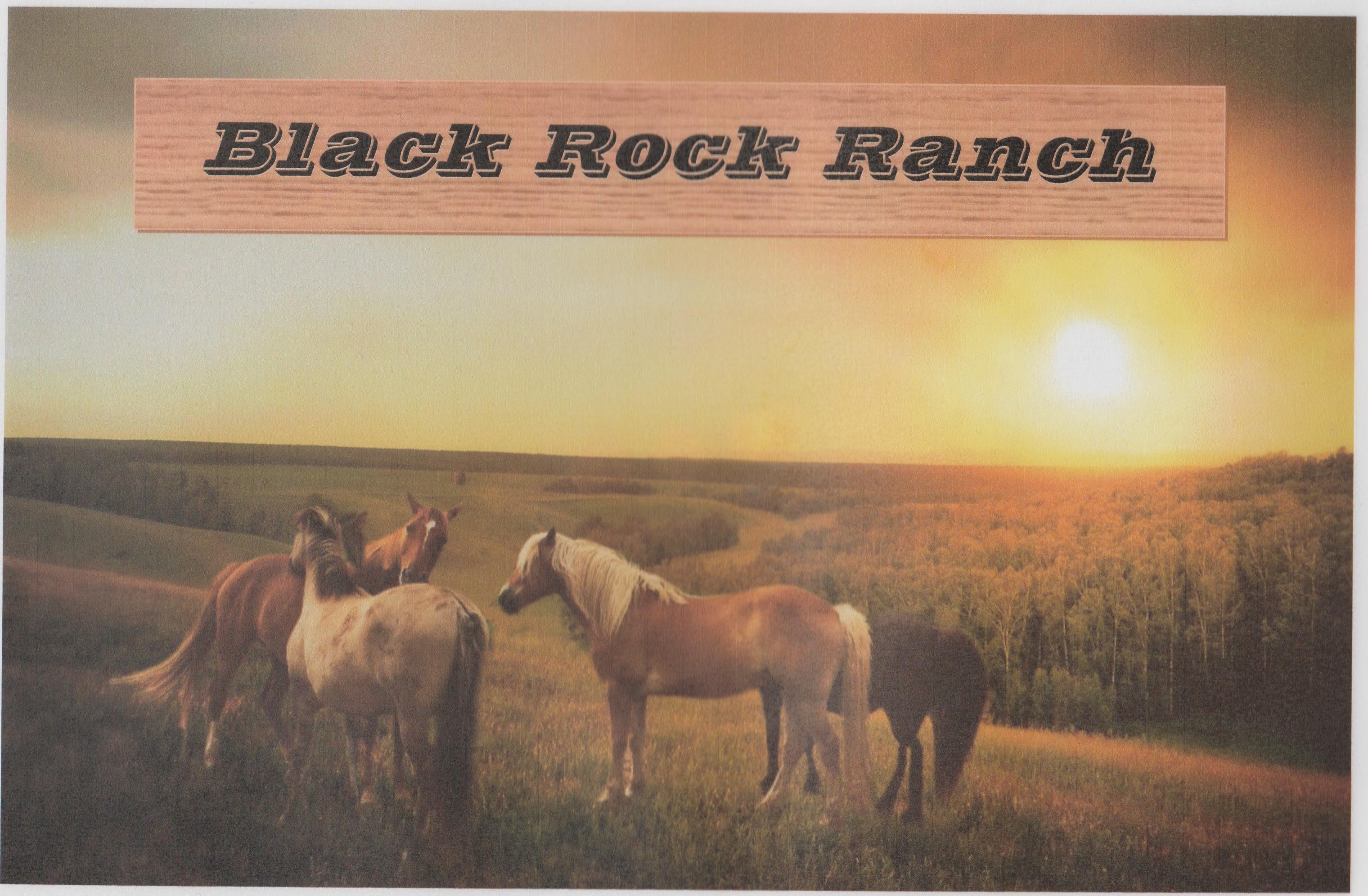 Black Rock Ranch foto 2