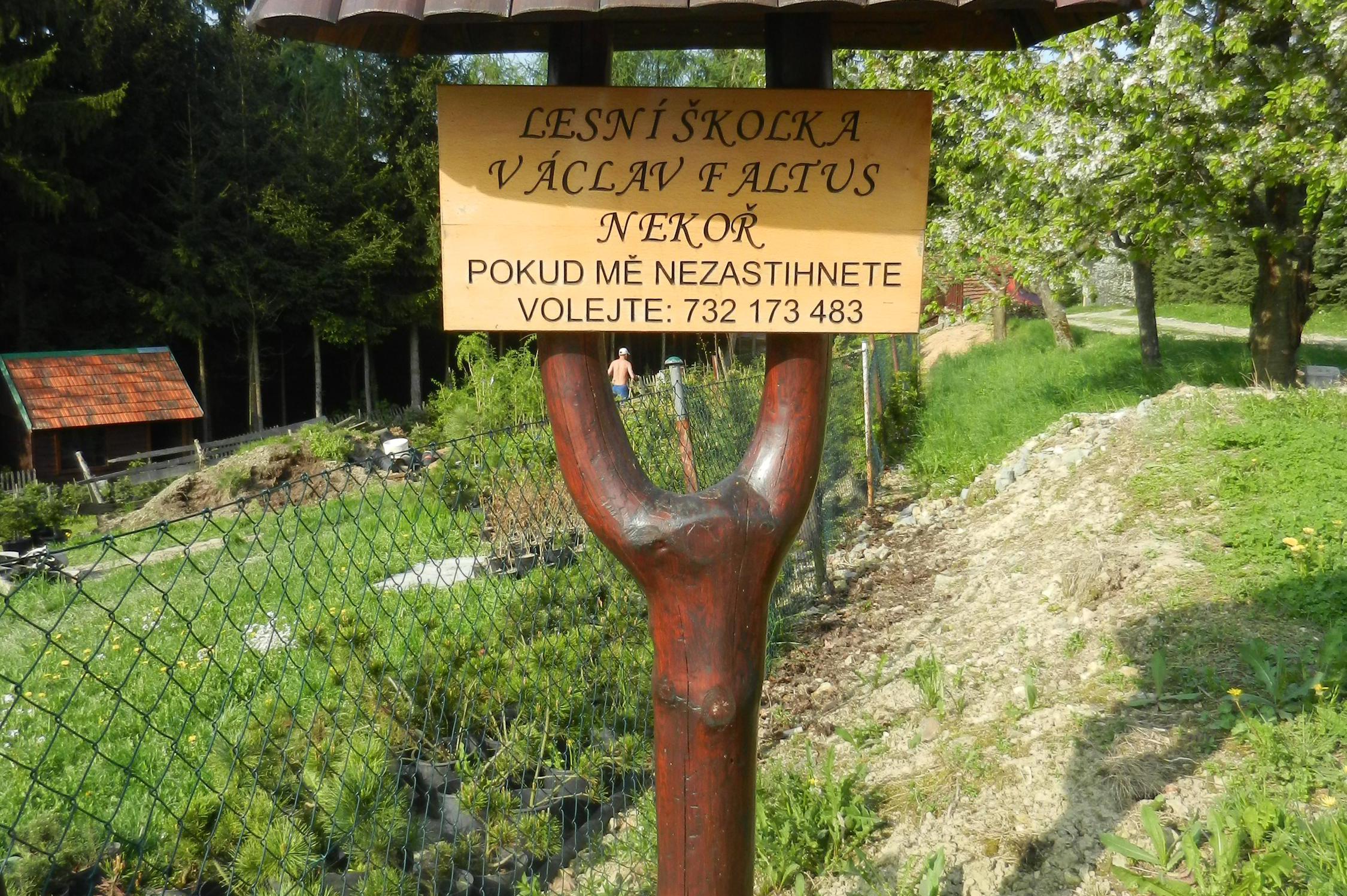 Václav Faltus - Lesní školka Nekoř