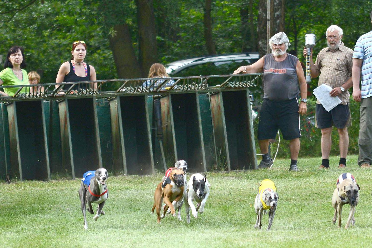 Dostihová dráha chrtů Kolín