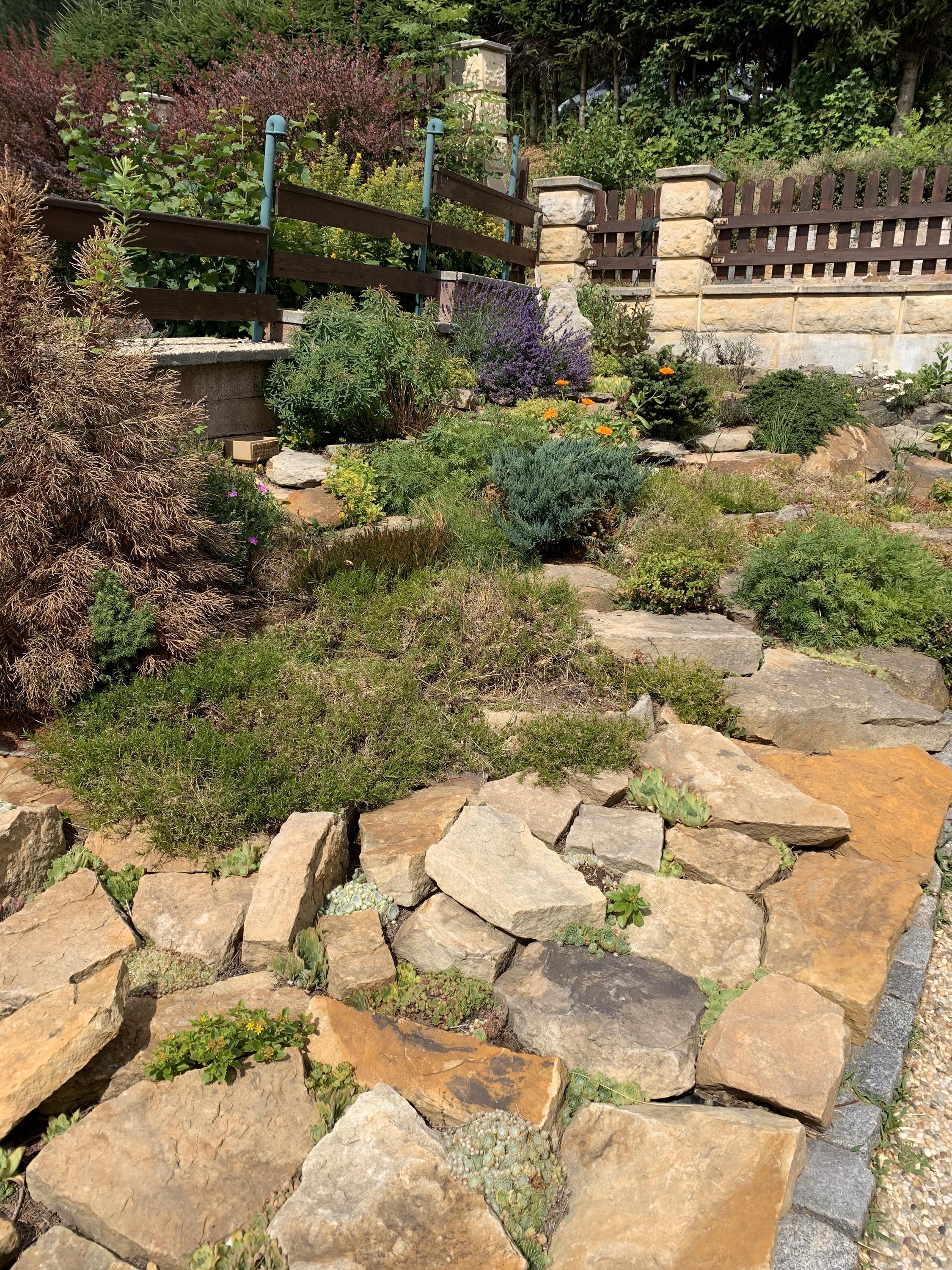 Chalupa Sunny Cottage foto 5