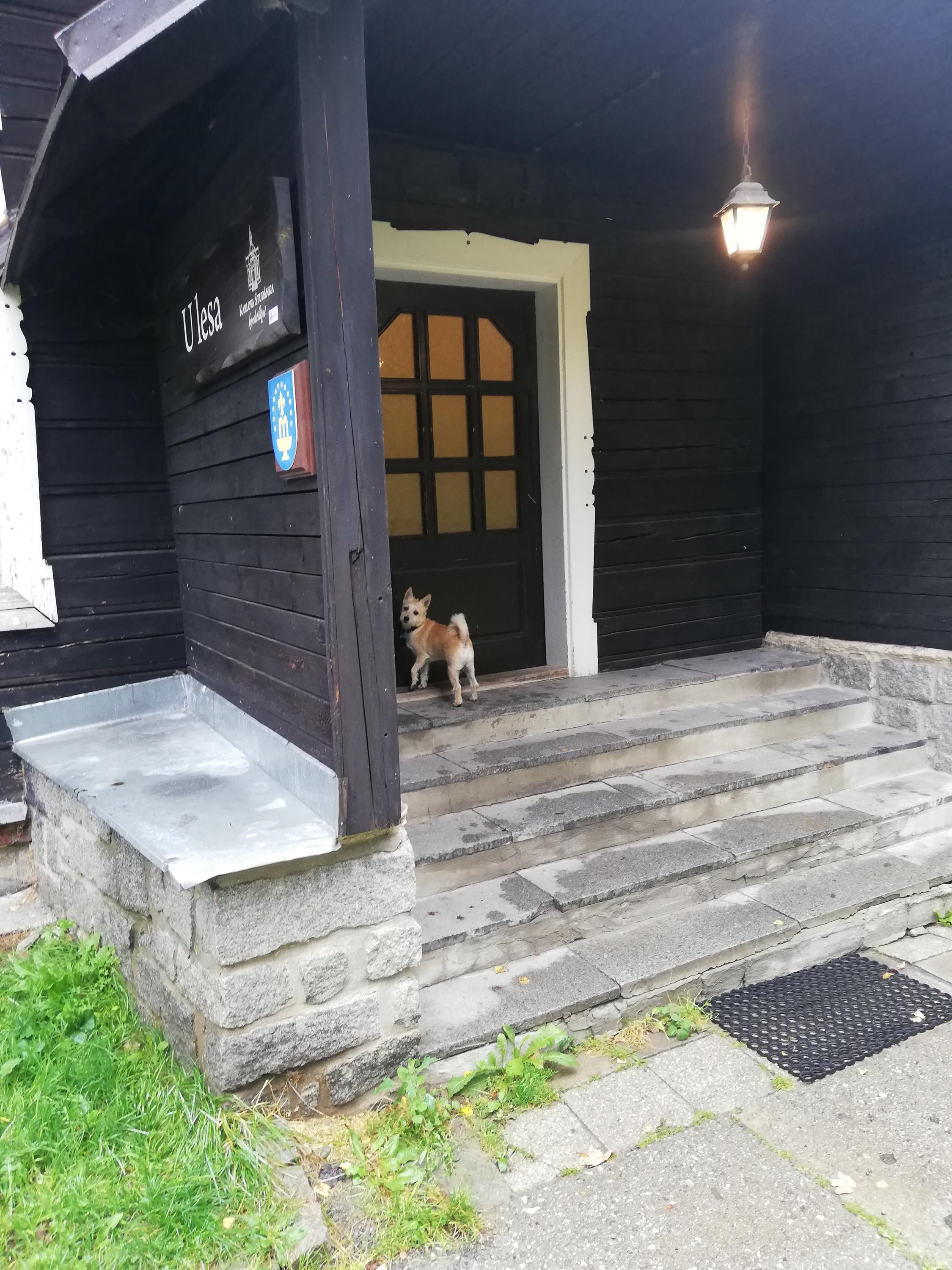 Lázeňský dům "Libuše" foto 4