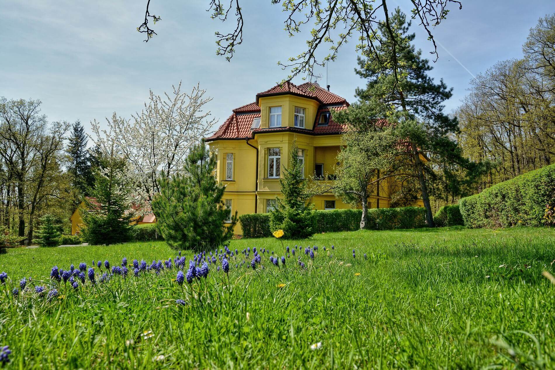 Rezidence Na Pleši foto 5