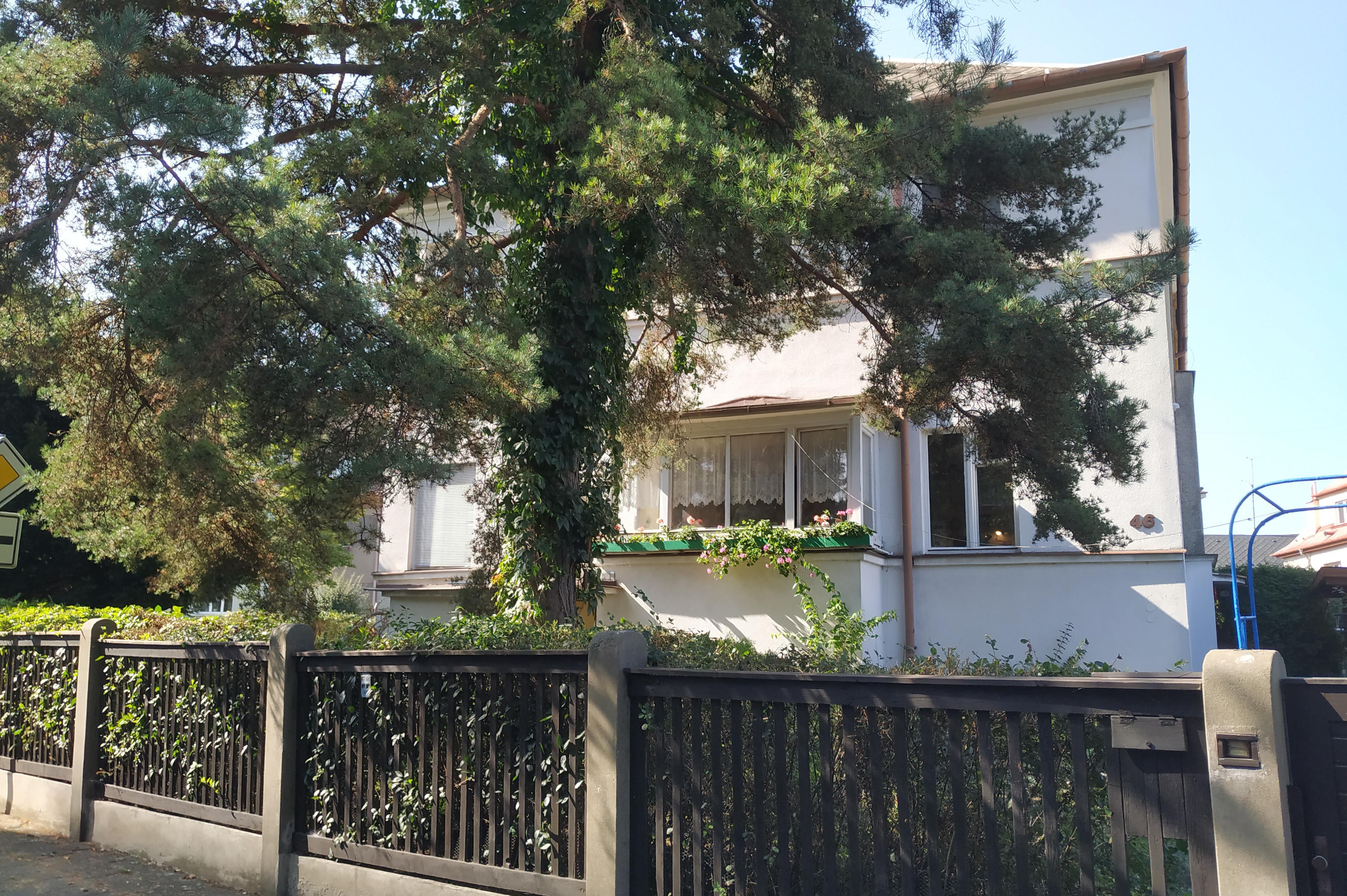 Mgr. Lucie Tichá - Online Jazykové studio