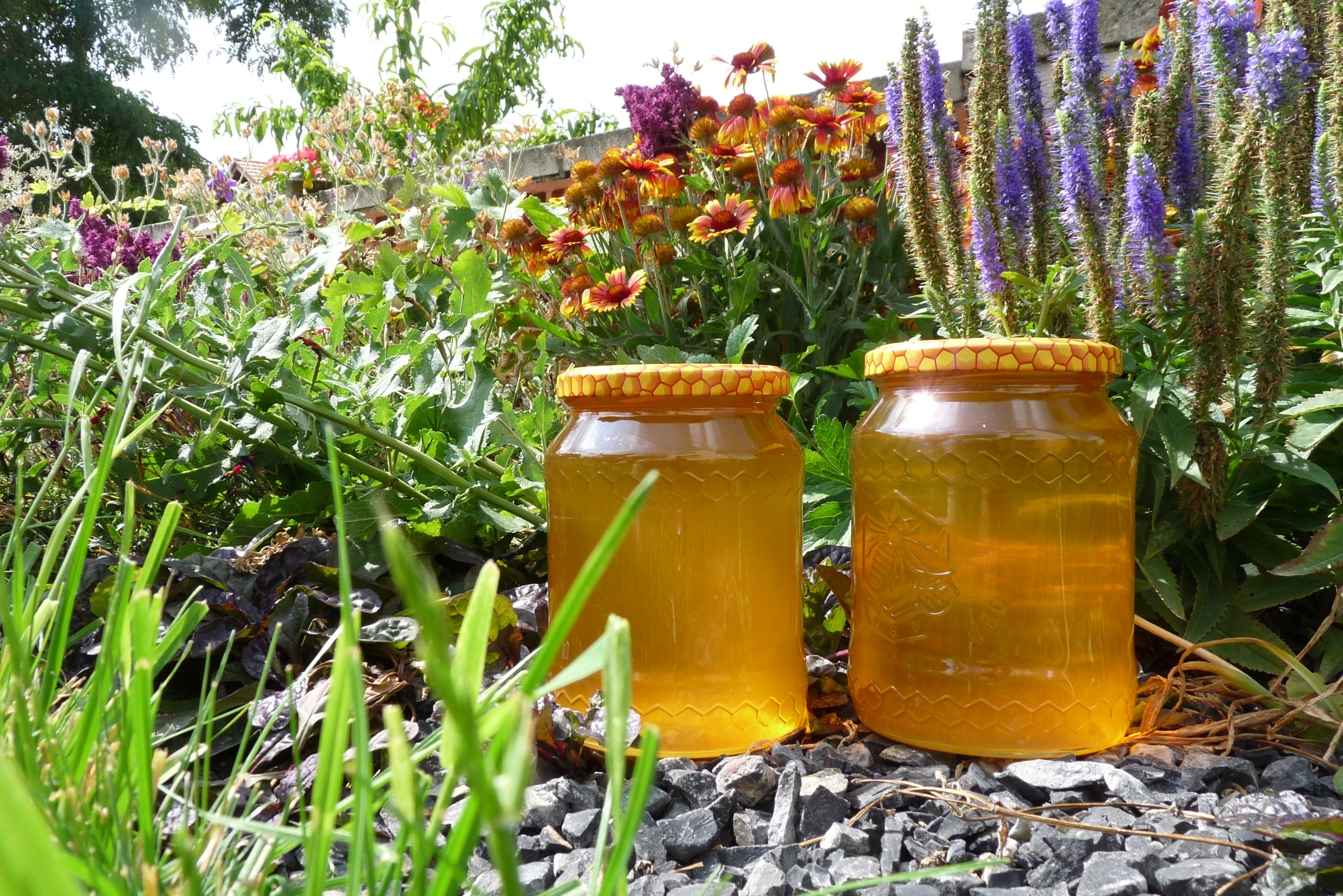 Včelařství Řezanina