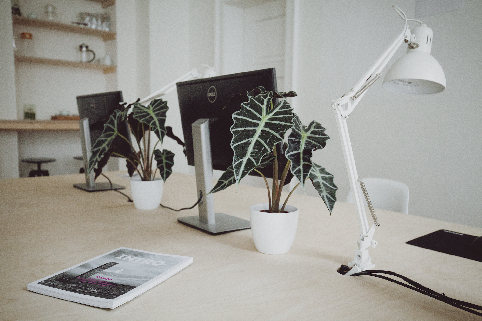 Digital Ants s.r.o. foto 2