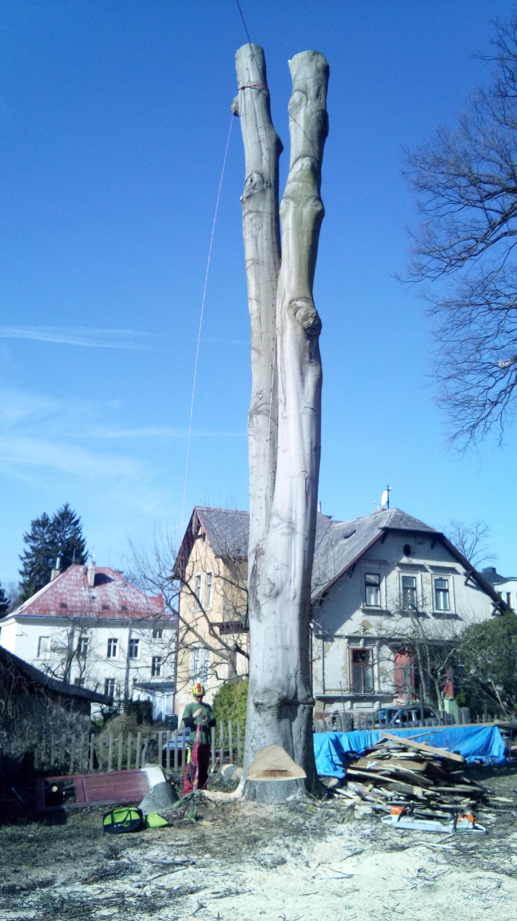 StromyLBC foto 2