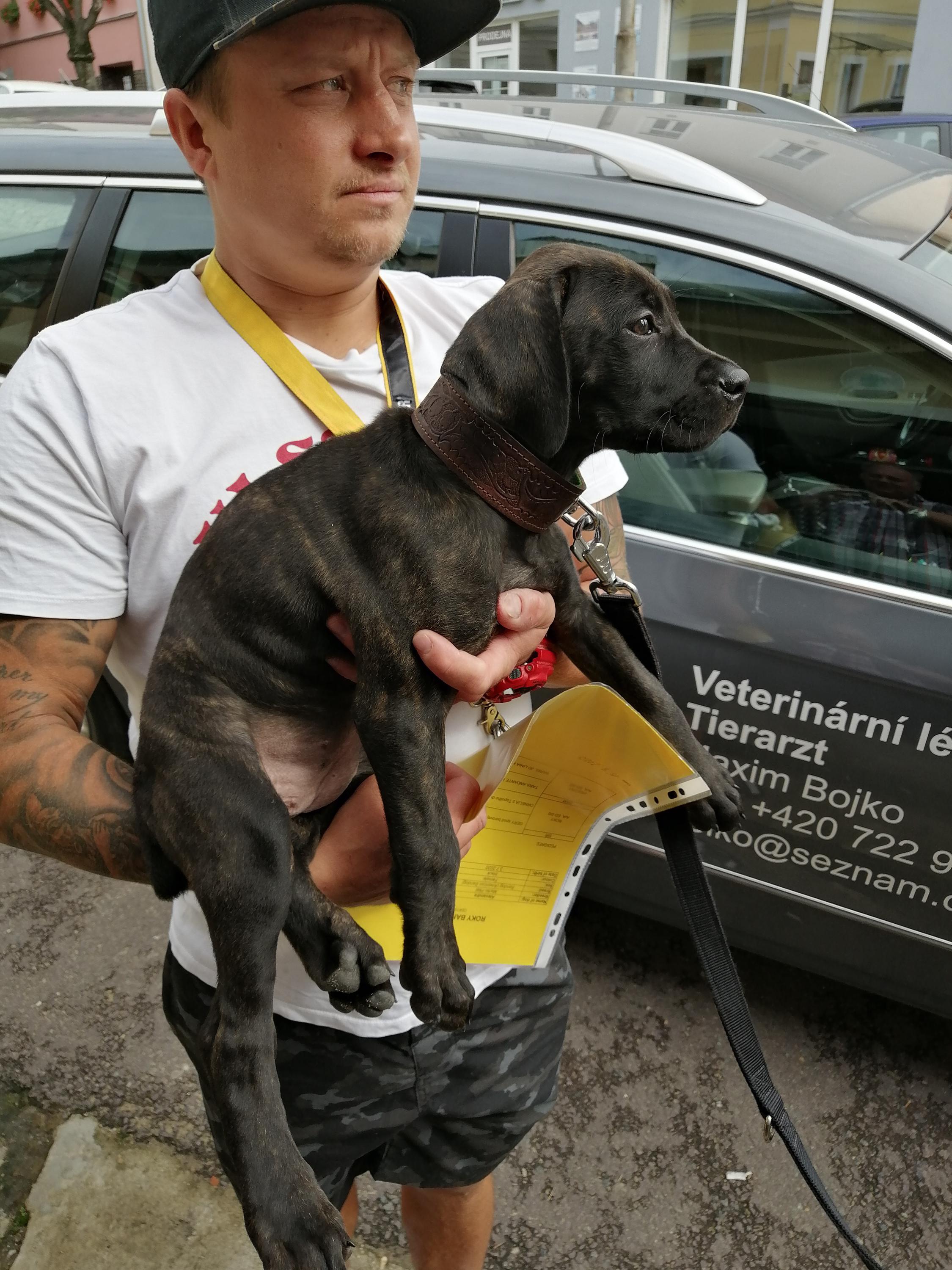 Veterinární ordinace MVDr. Maxim Bojko foto 6