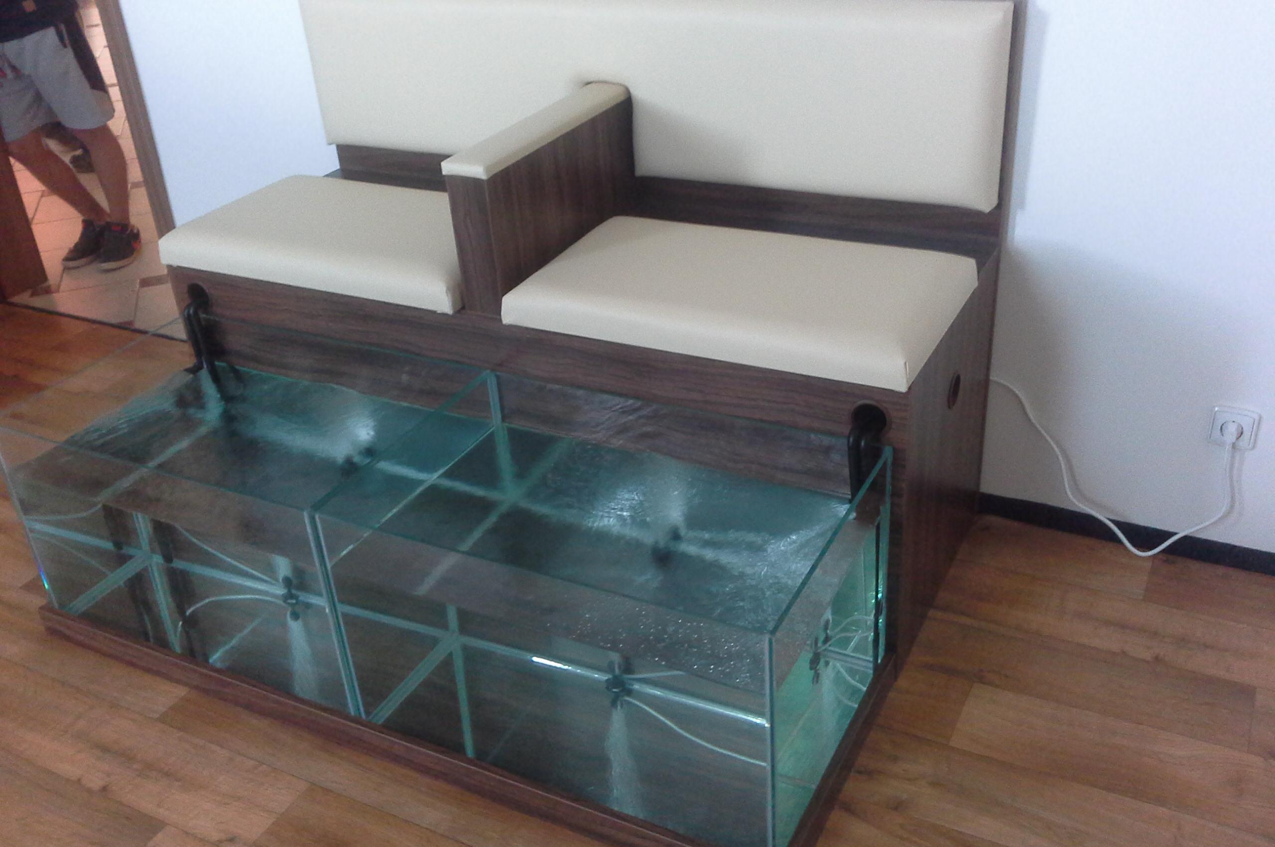 Pavel Hinke - rybičky Garra