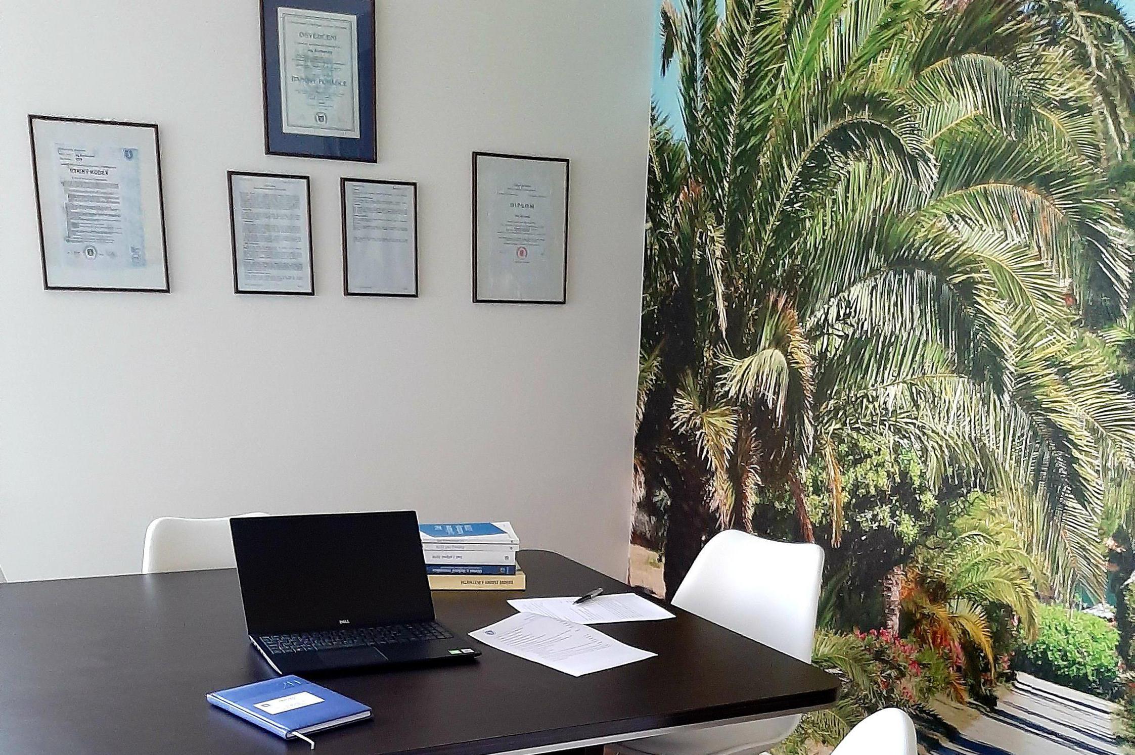 Ing. Eva Korcová - daňový poradce ev.č. 05538