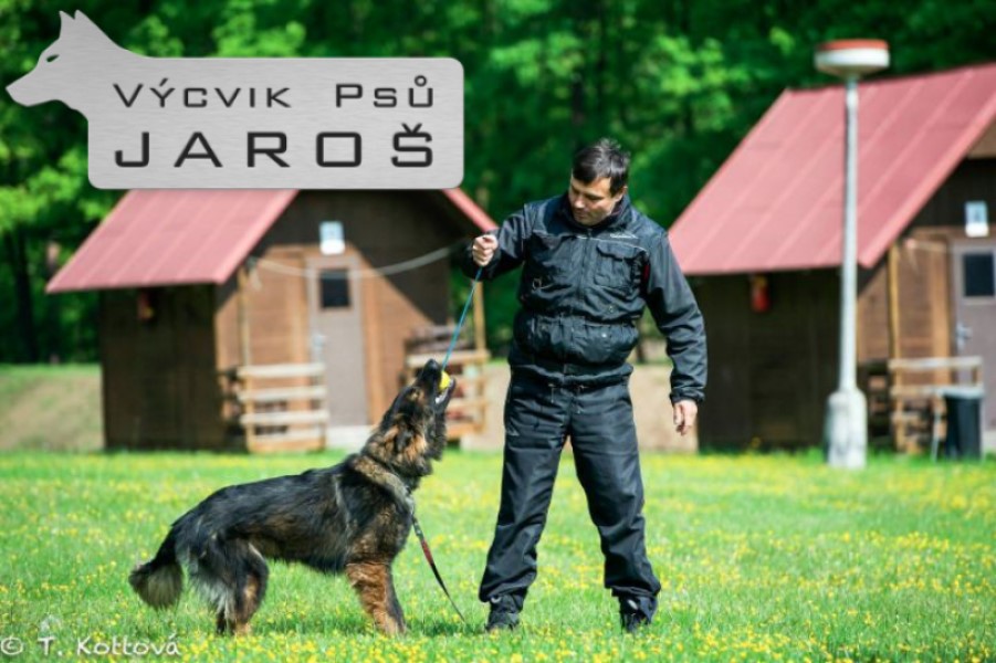 Výcvik psů Jaroš foto 1