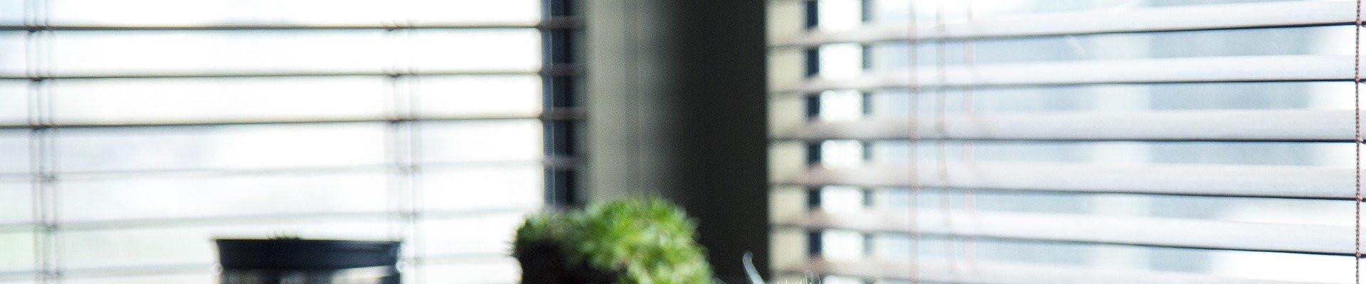 Úvodní obrázek Žaluzienejlevněji.shop