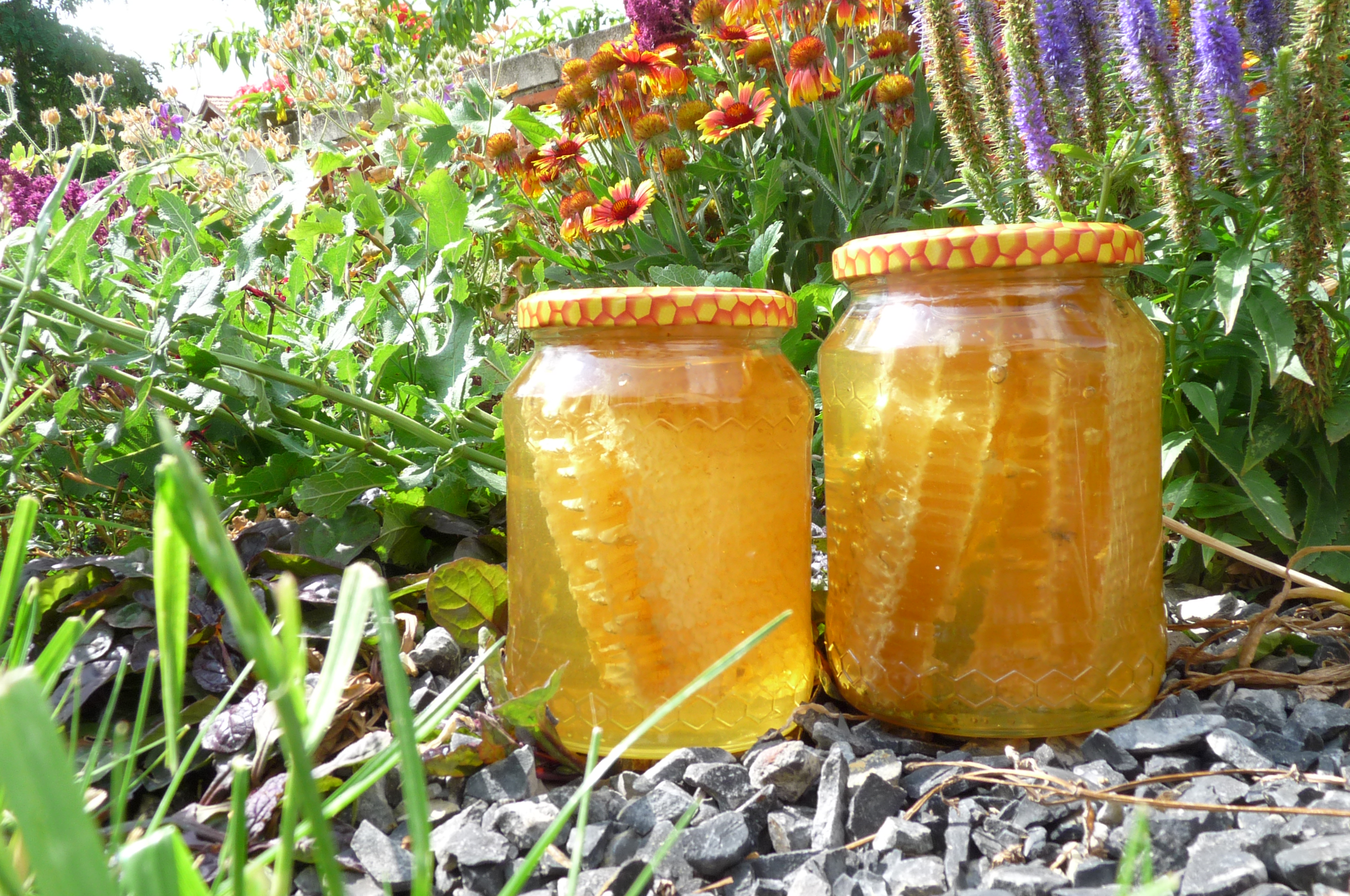 Včelařství Řezanina foto 2