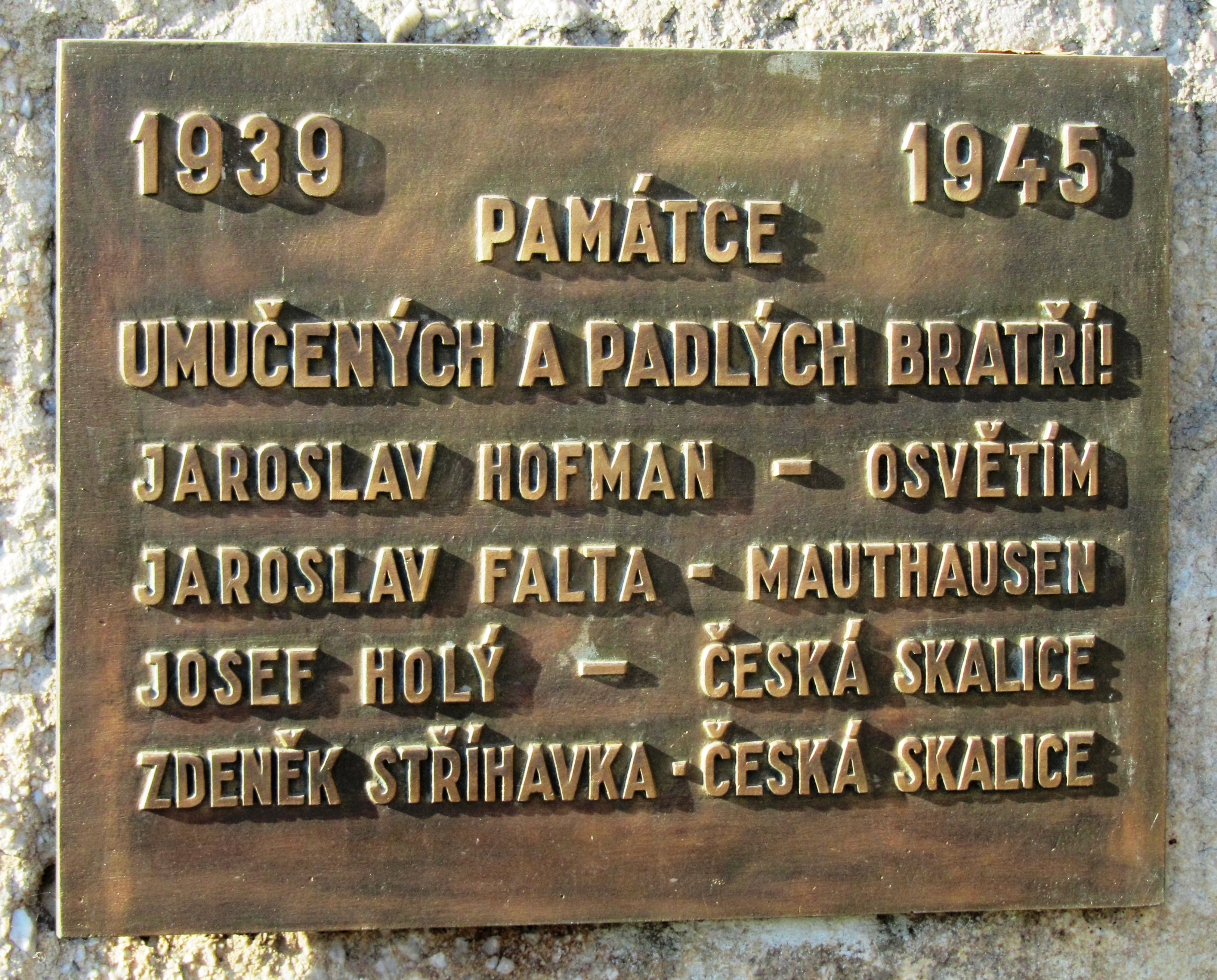 Tělocvičná jednota Sokol Česká Skalice foto 3