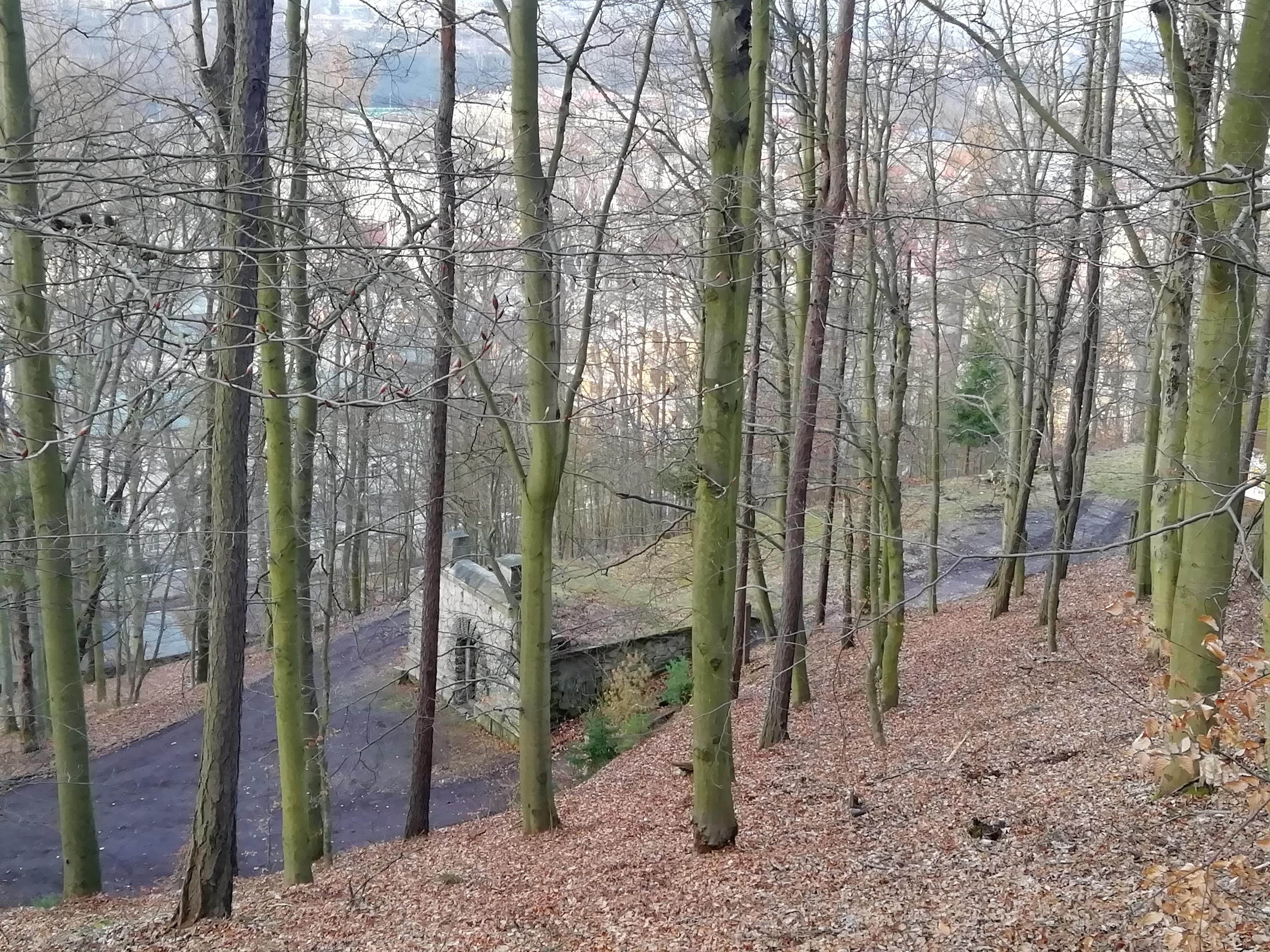 Střelnice Magnum foto 3