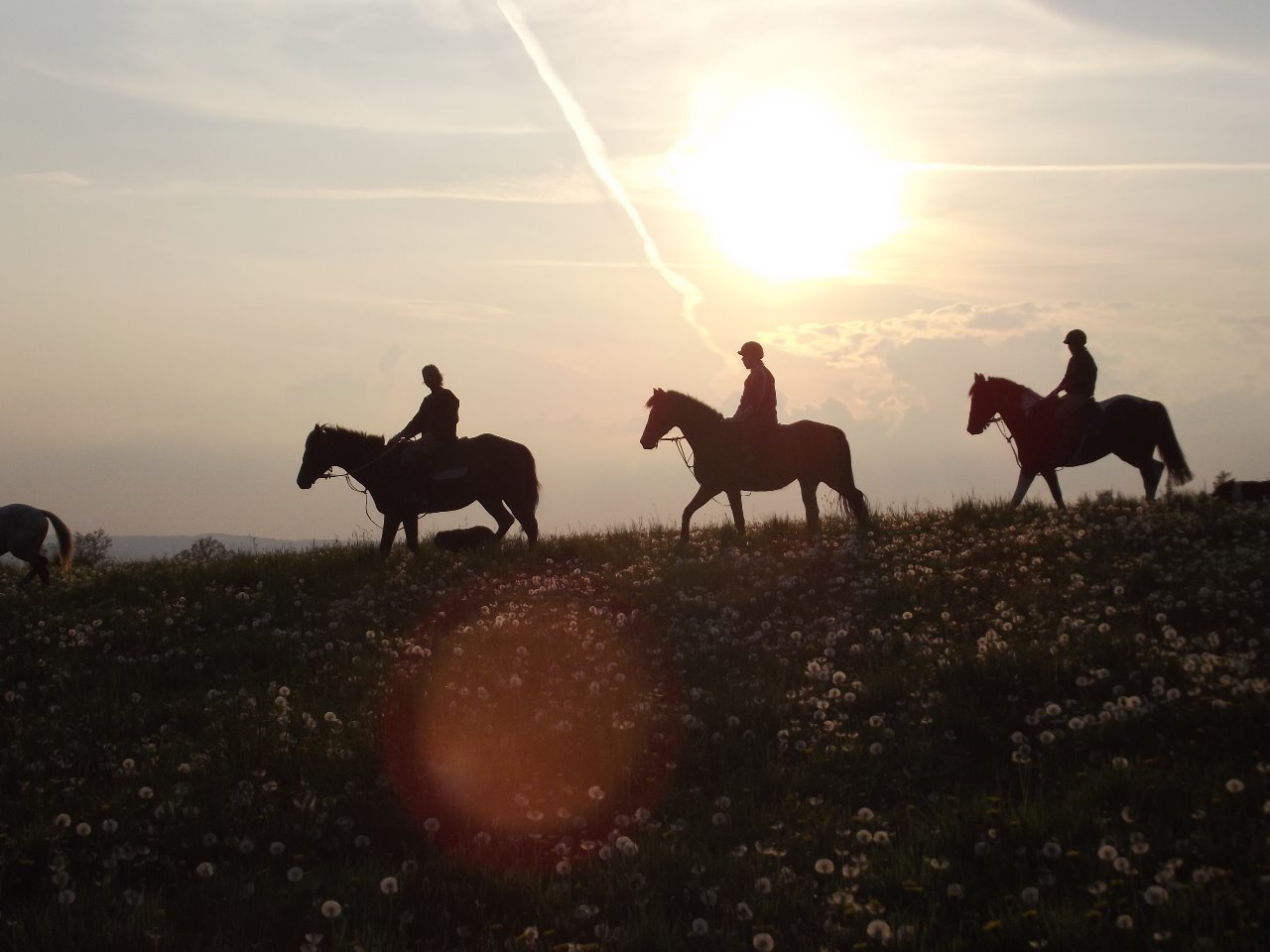 Koně a fitness Čížkov