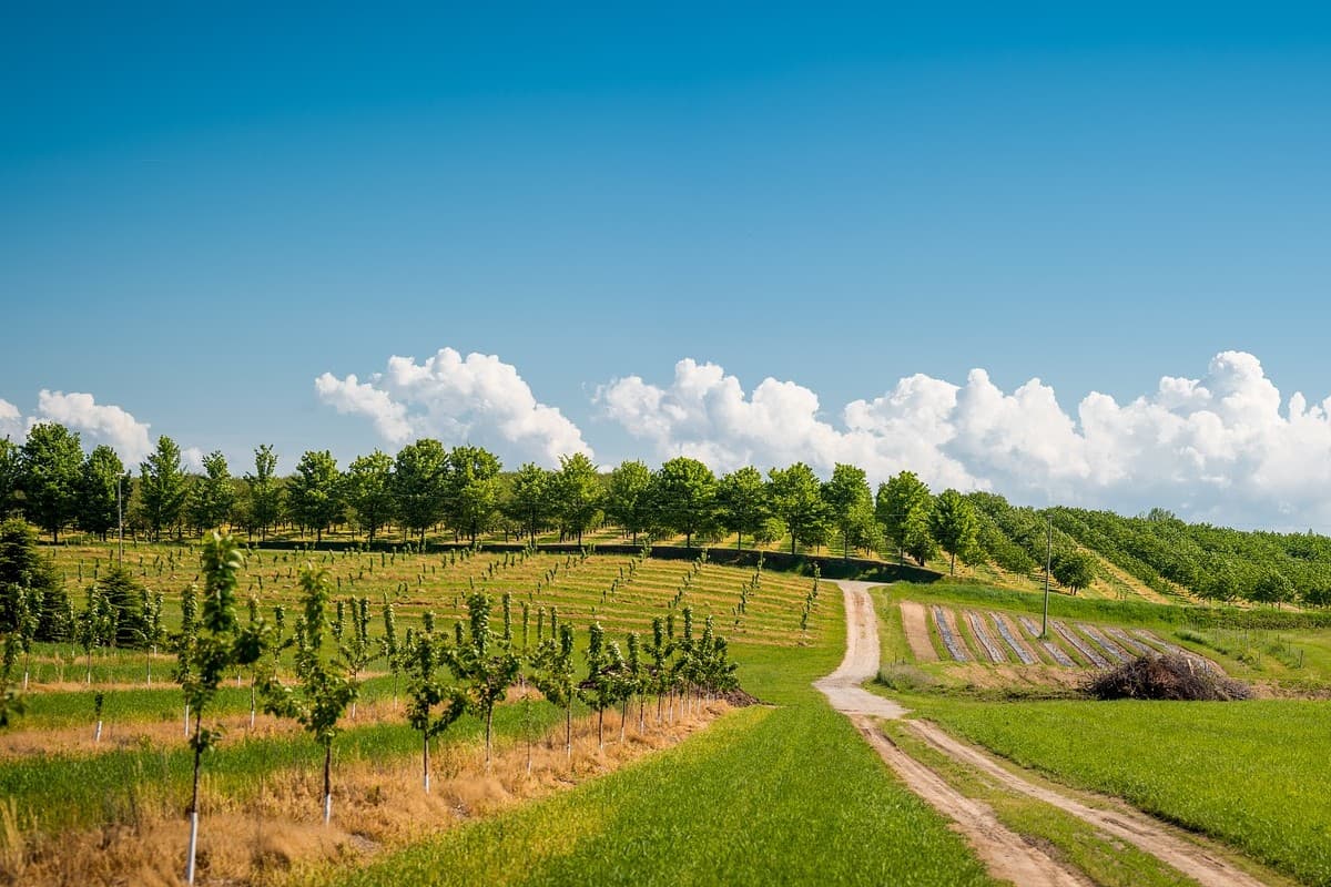 Zahradnictví a včelařství Ekovčelař